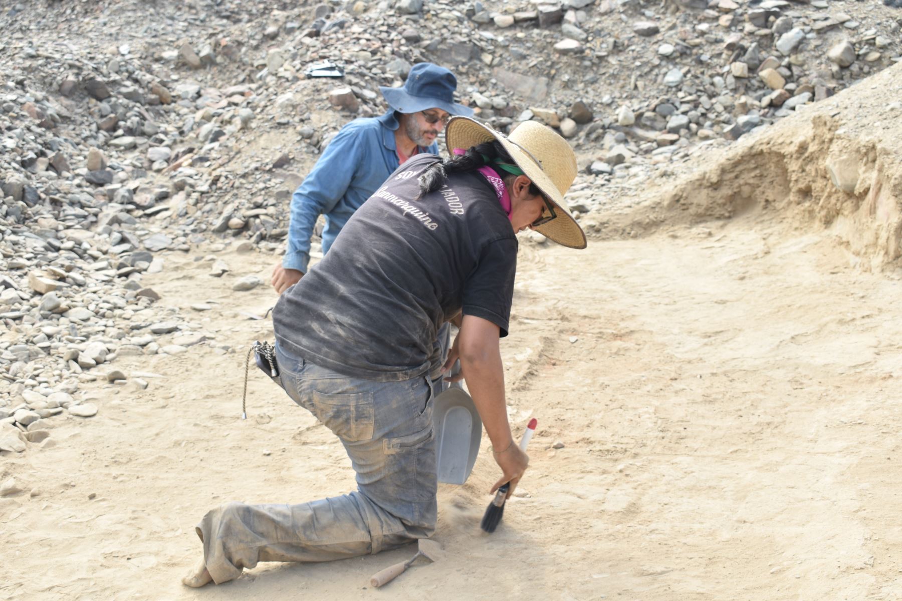 Sostuvo que esta conclusión se sustenta en análisis microbiotánicos de suelos, que identificaron fitolitos de estos cultivos, así como diatomeas, microalgas que solo se desarrollan en suelos con presencia sostenida de agua.
 Foto: ANDINA/Difusión