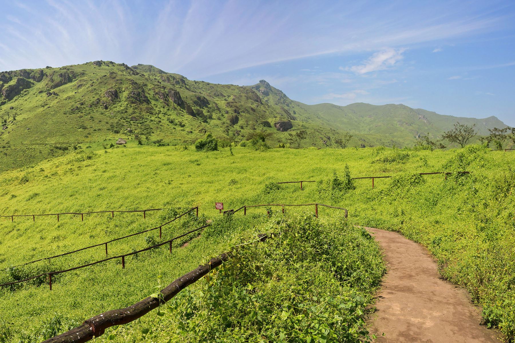 La Reserva Nacional de Lachay, en la región Lima, presenta dos estaciones bien diferenciadas: una húmeda, entre junio y octubre, caracterizada por una alta humedad ambiental que permite apreciar todo su verdor; y otra seca o árida, desde enero hasta mayo, con fuerte brillo solar y ausencia de neblina. Foto: Mincetur