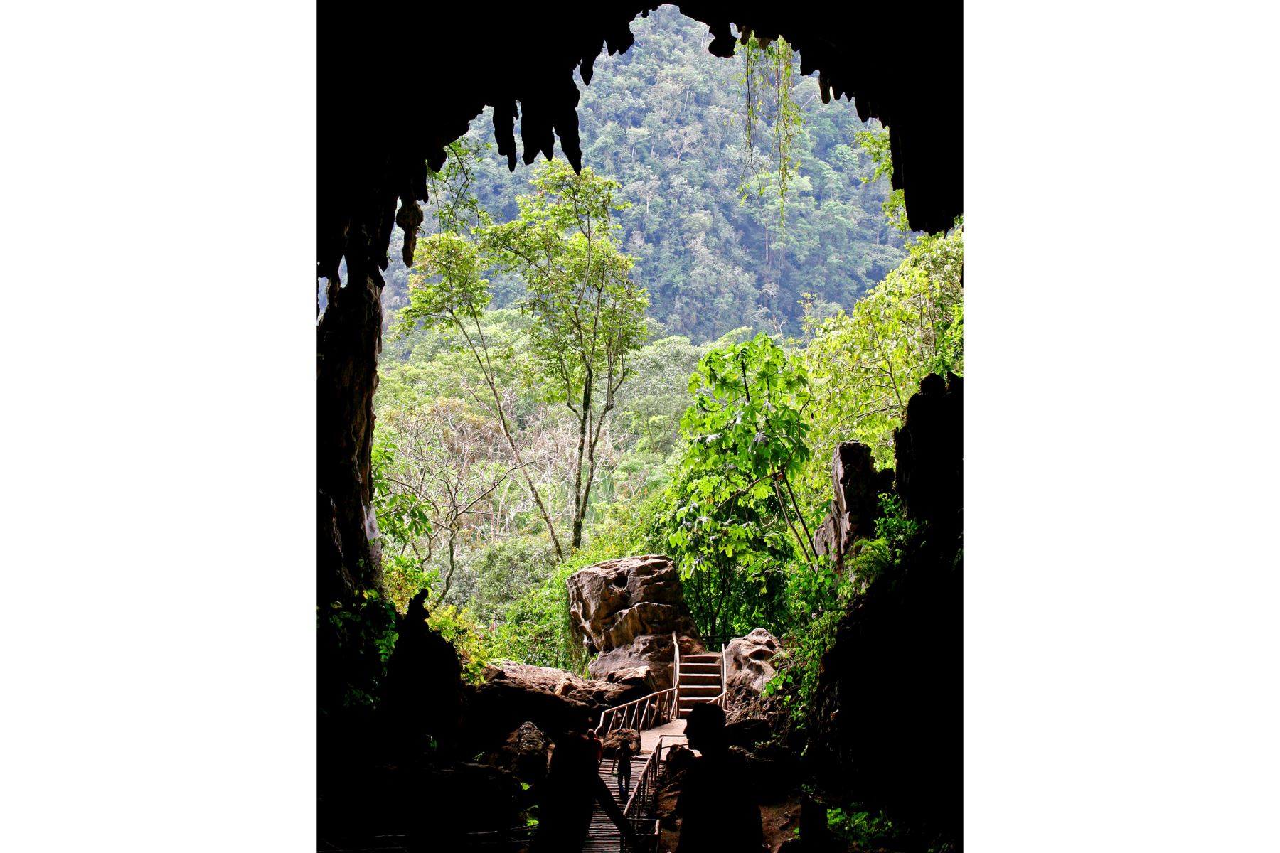 El Parque Nacional Tingo María, en la región Huánuco, es la segunda área natural protegida más antigua del Perú, creada en 1965. Entre sus principales circuitos turísticos destacan la Cueva de las Lechuzas, el Circuito Tres de Mayo, y la cadena montañosa “La Bella Durmiente”. Foto: Mincetur