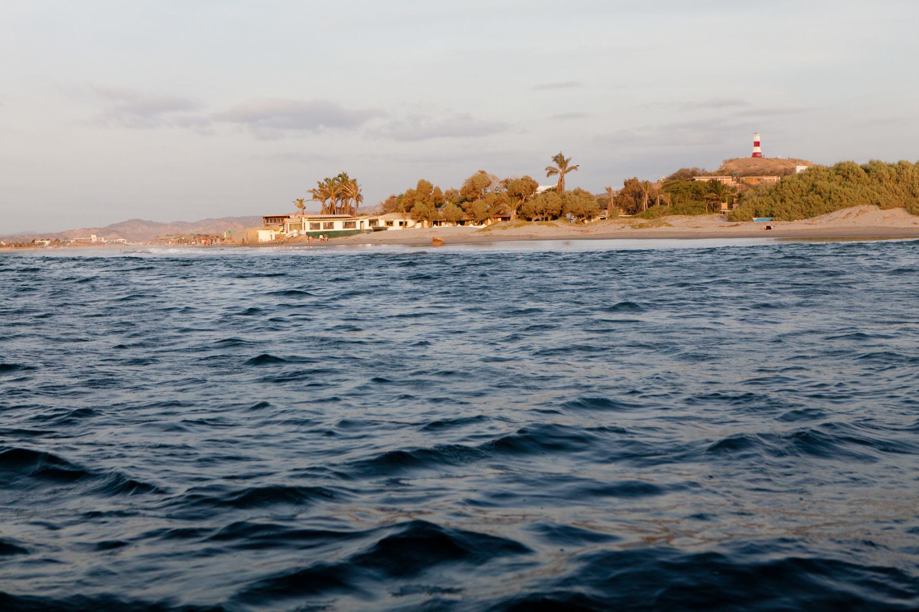 La Reserva Nacional Mar Tropical de Grau comprende una extensión de 115 675,89 hectáreas y está conformada por cuatro sectores: Isla Foca, Cabo Blanco - El Ñuro, Arrecifes de Punta Sal y Banco Máncora, ubicados frente a las costas de Piura y Tumbes. Foto: Mincetur