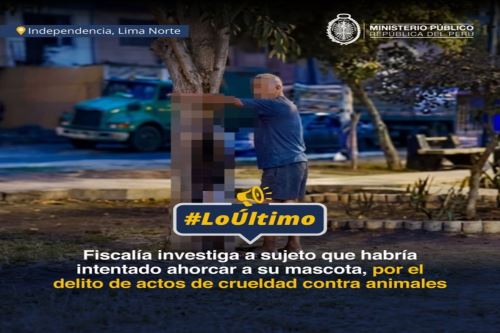 Fiscalía inició investigación preliminar contra sujeto que habría ahorcado a su mascota en plena calle, en Independencia. Foto: ANDINA/Difusión