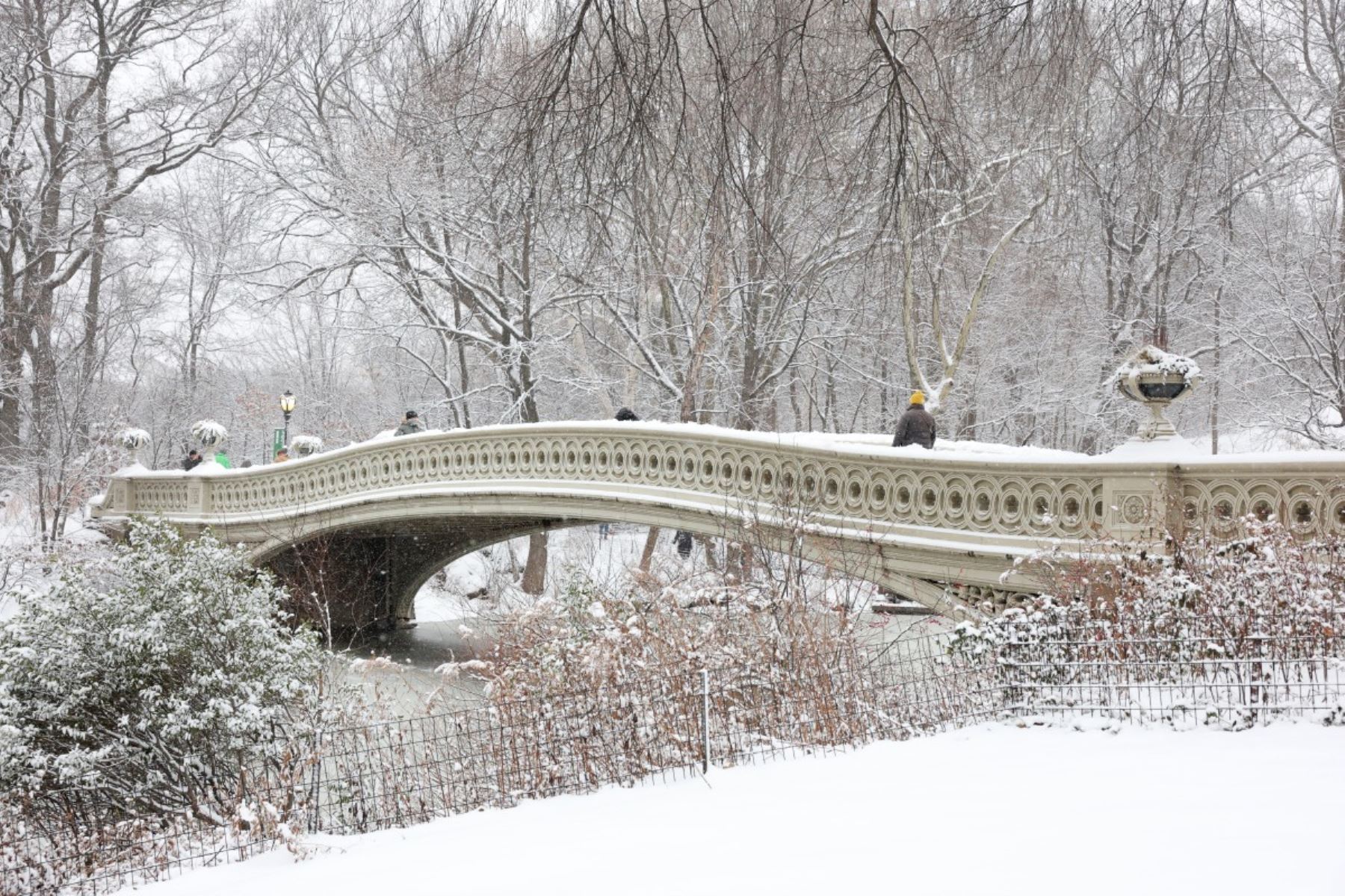 Personas caminan sobre la nieve en Central Park, Nueva York.
Nueva York recibió alrededor de 10 centímetros de nieve durante la noche. Las aerolíneas cancelaron 1500 vuelos estadounidenses durante la temporada alta de viajes vacacionales.
Foto: AFP