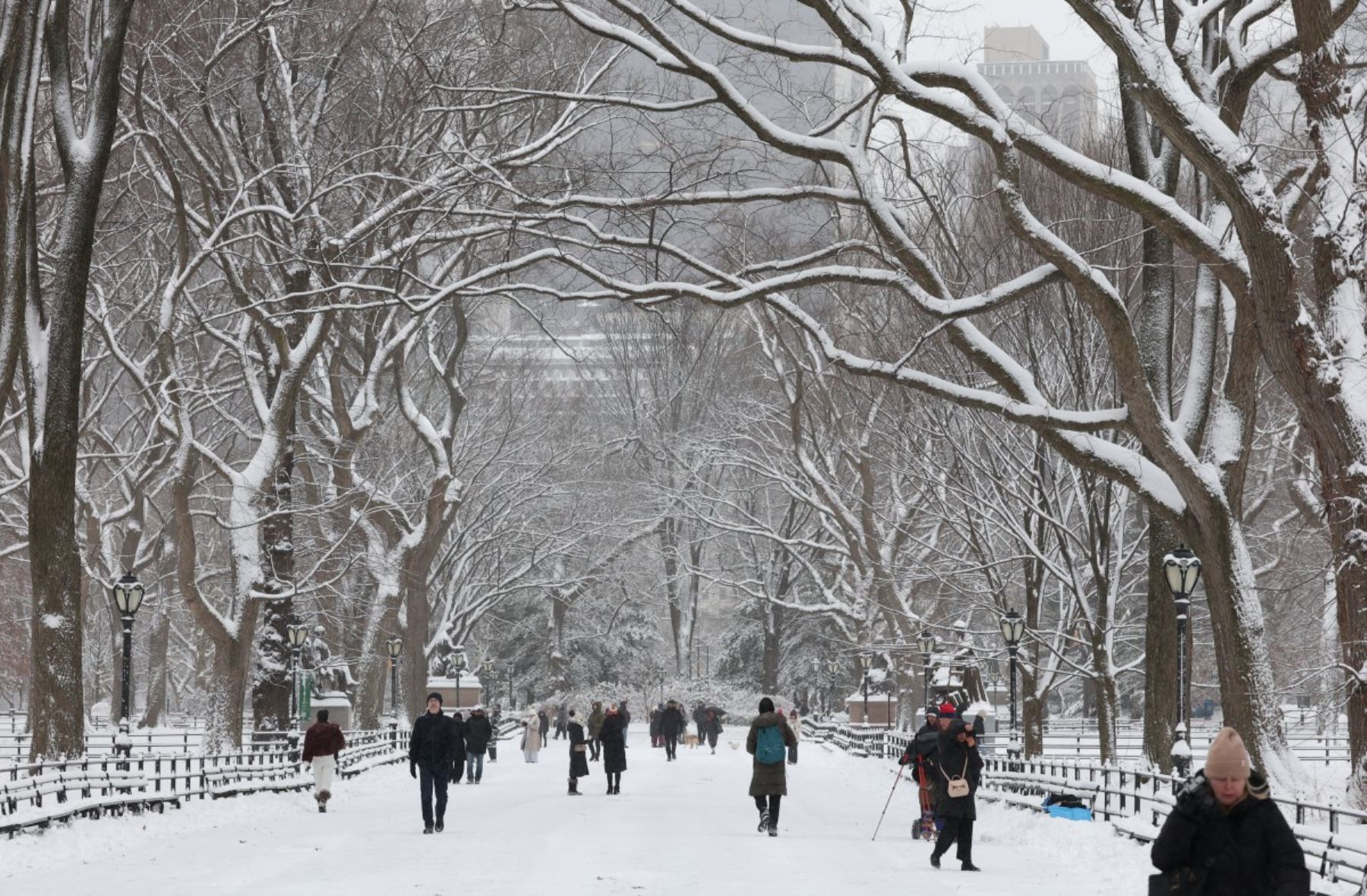 Personas caminan sobre la nieve en Central Park, Nueva York. Nueva York recibió alrededor de 10 centímetros de nieve durante la noche. Las aerolíneas cancelaron 1500 vuelos estadounidenses durante la temporada alta de viajes vacacionales.
Foto: AFP