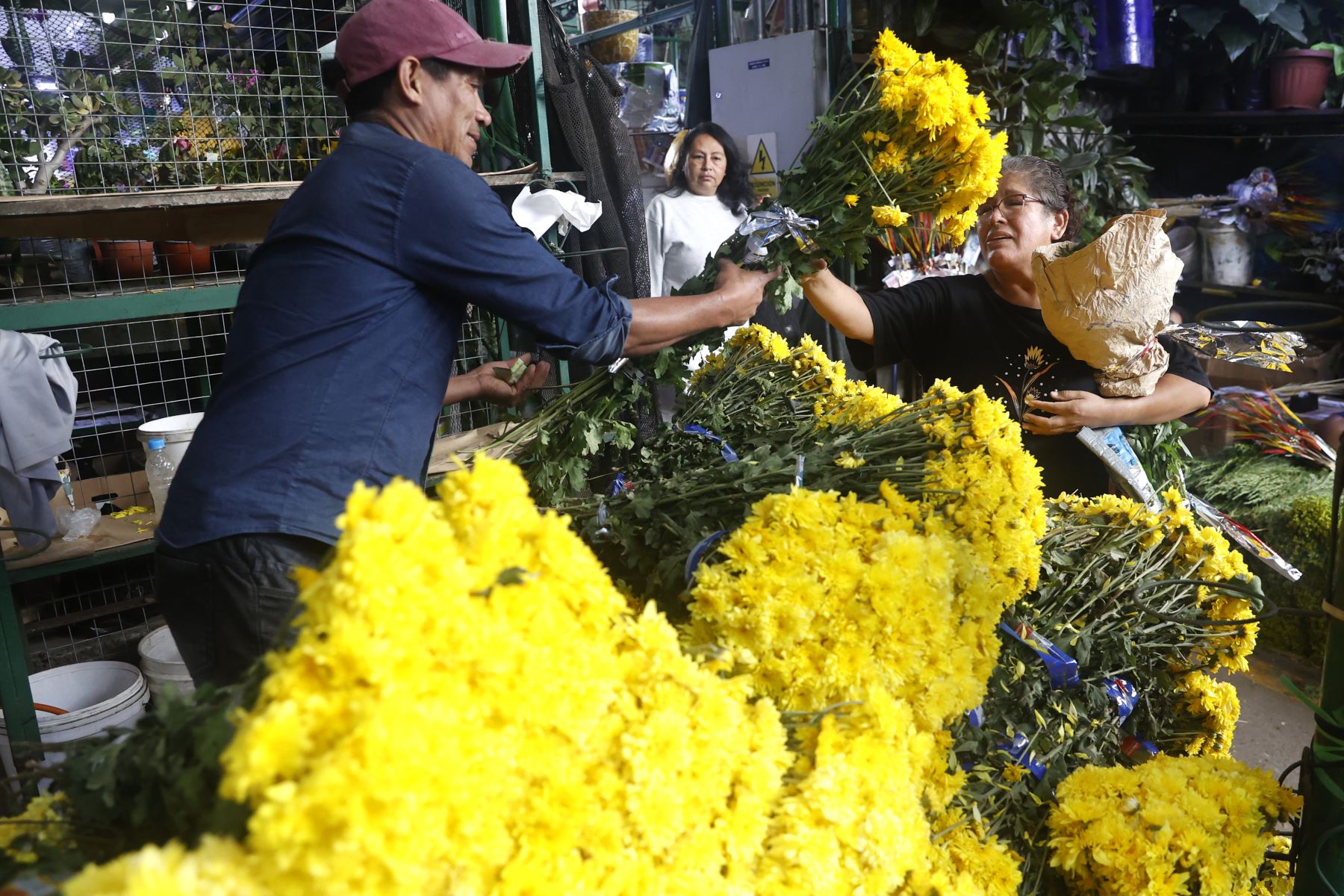 En vísperas de Año Nuevo, la venta de flores amarillas se ha incrementado en el mercado de flores, donde comerciantes reportan una mayor afluencia de compradores que buscan cumplir con esta tradición asociada a la buena suerte y los nuevos comienzos. Foto: ANDINA/Vidal Tarqui