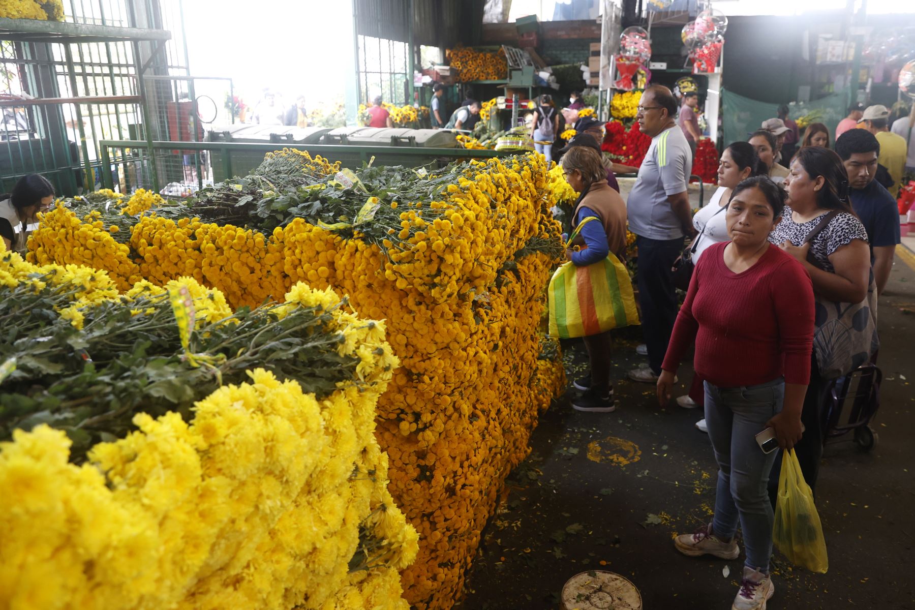 En vísperas de Año Nuevo, la venta de flores amarillas se ha incrementado en el mercado de flores, donde comerciantes reportan una mayor afluencia de compradores que buscan cumplir con esta tradición asociada a la buena suerte y los nuevos comienzos. Foto: ANDINA/Vidal Tarqui