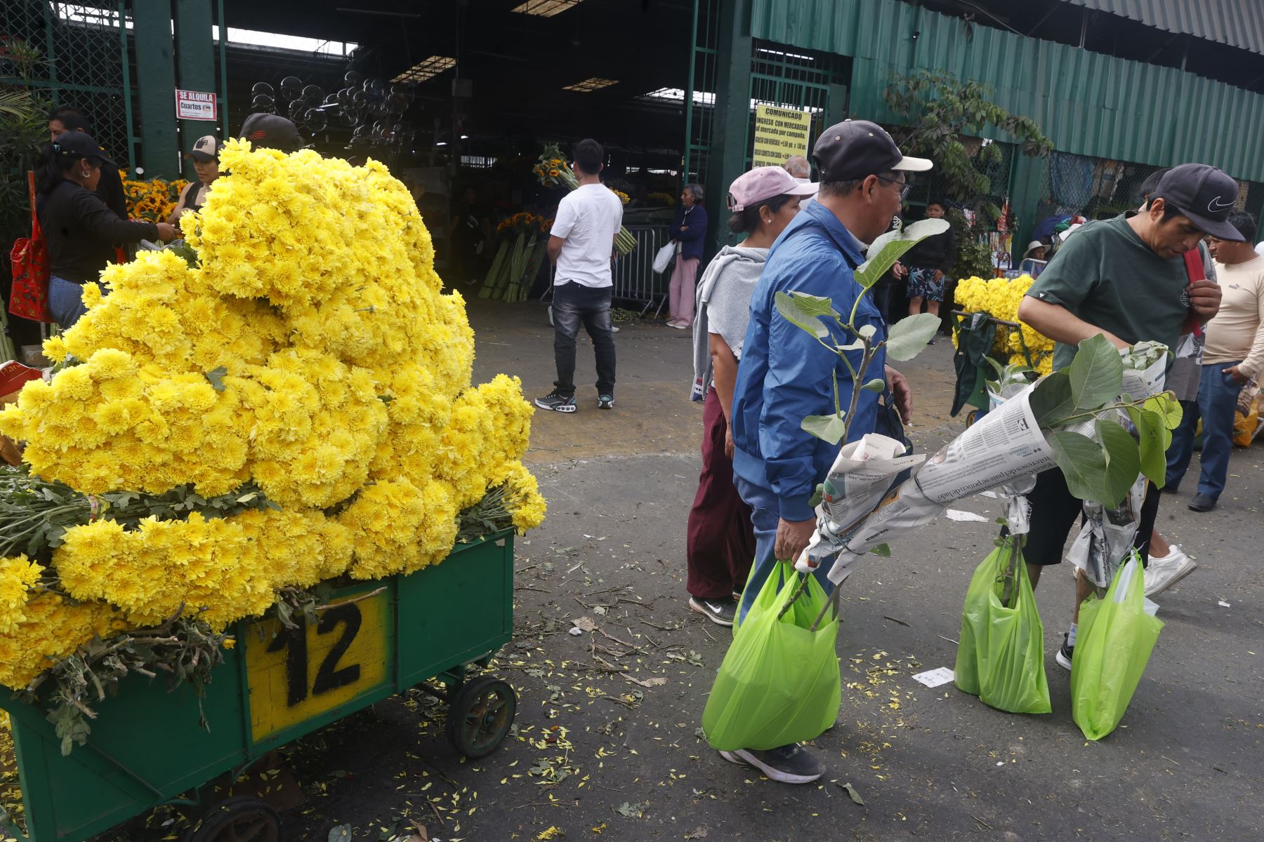 En vísperas de Año Nuevo, la venta de flores amarillas se ha incrementado en el mercado de flores, donde comerciantes reportan una mayor afluencia de compradores que buscan cumplir con esta tradición asociada a la buena suerte y los nuevos comienzos. Foto: ANDINA/Vidal Tarqui