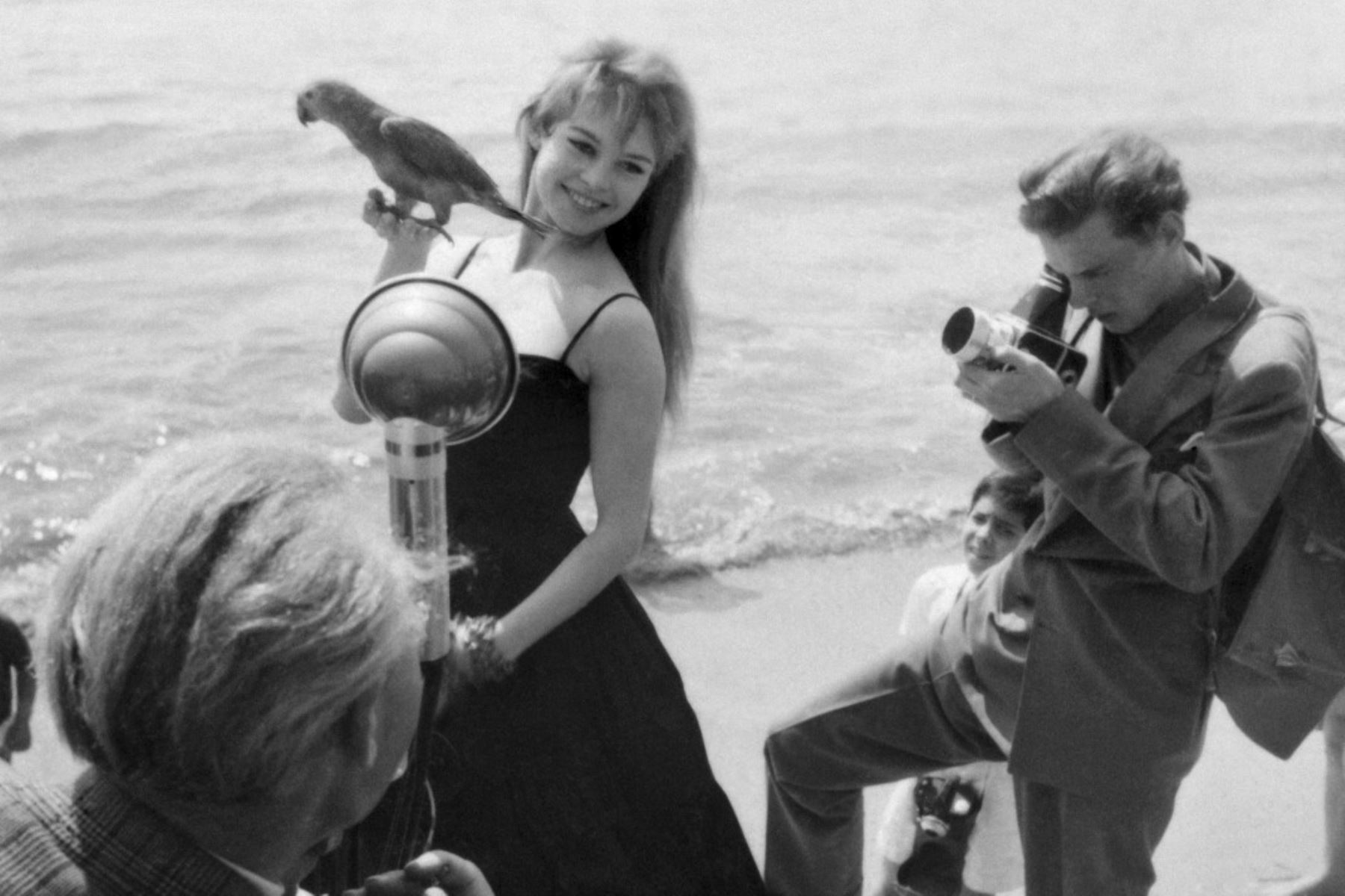La actriz francesa Brigitte Bardot posa con un loro durante la novena edición del festival de cine de Cannes, el 25 de abril de 1956. La actriz francesa Brigitte Bardot murió a los 91 años. AFP se enteró de la fundación Bardot el 28 de diciembre de 2025. (Foto de Pierre MEUNIER / AFP)