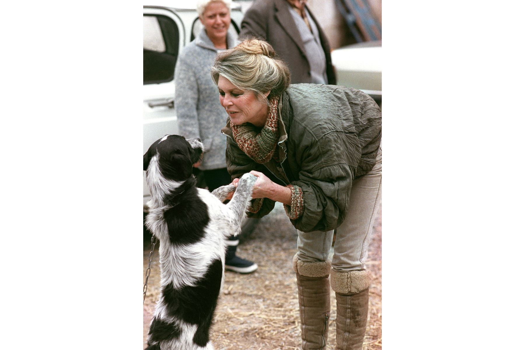 La actriz francesa y activista de los derechos de los animales Brigitte Bardot juega con un perro cuando llega a las perreras de Cabries (sur de Francia) el 17 de enero de 1989, para promover la adopción de mascotas abandonadas. La actriz francesa Brigitte Bardot murió a los 91 años. AFP se enteró de la fundación Bardot el 28 de diciembre de 2025. (Foto de GERARD FOUET / AFP)