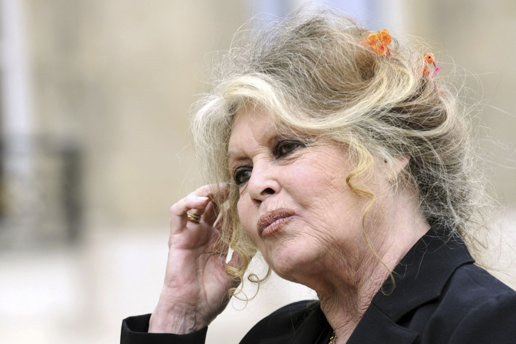 La actriz francesa y activista por los derechos de los animales Brigitte Bardot abandona el Palacio del Elíseo en París después de una reunión con el presidente francés Nicolas Sarkozy, el 27 de septiembre de 2007. La actriz francesa Brigitte Bardot murió a los 91 años. AFP se enteró de la fundación Bardot el 28 de diciembre de 2025. (Foto de Eric Feferberg / AFP)