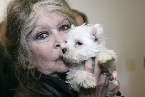 Muere Brigitte Bardot, ícono del cine francés y activista por los derechos de los animales, a los 91 años
