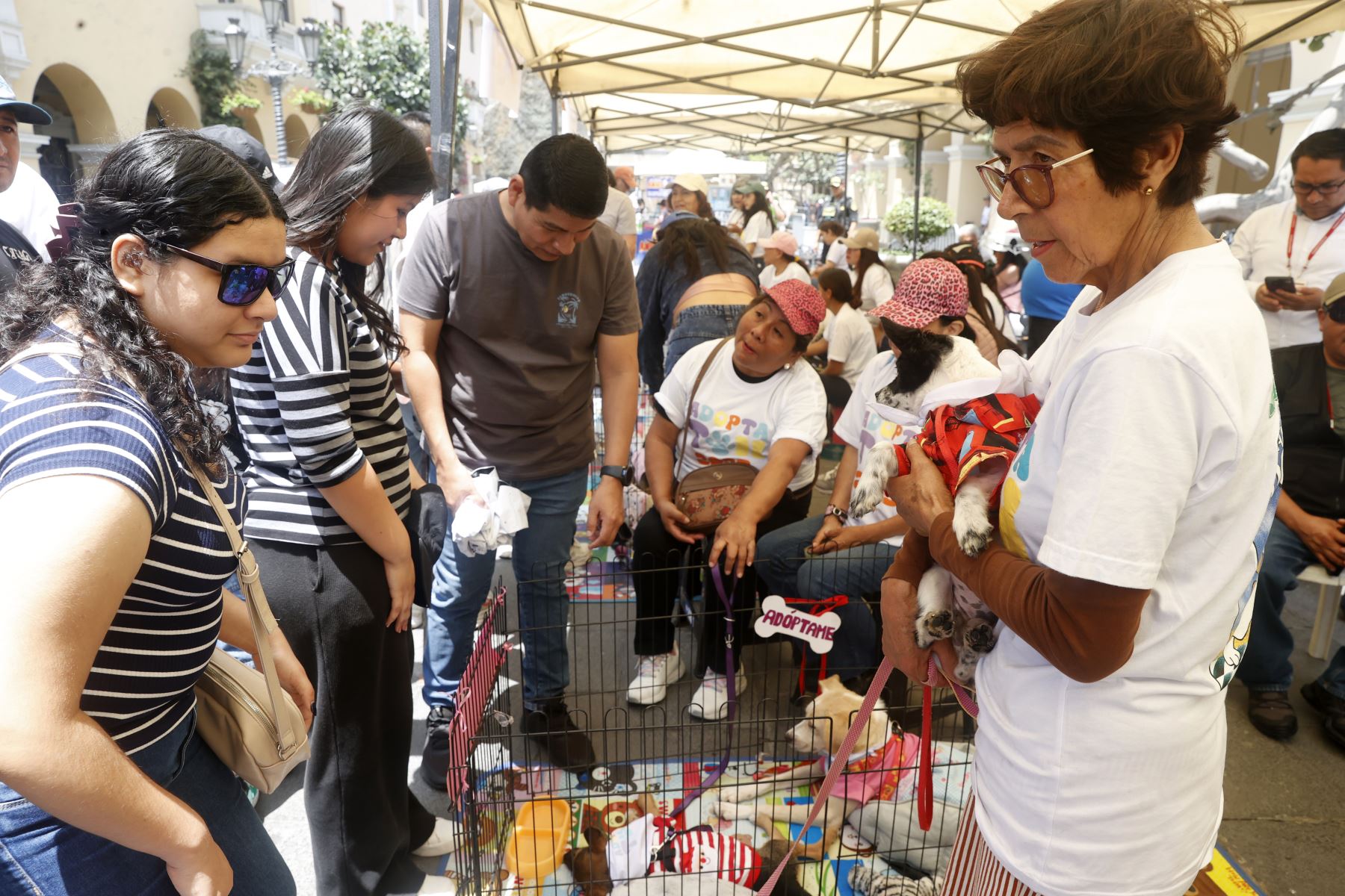 Campaña de adopción “ADOPTATON”, en pasaje Santa Rosa coorganización con la Municipalidad Metropolitana de Lima.
Foto: ANDINA/Vidal Tarqui