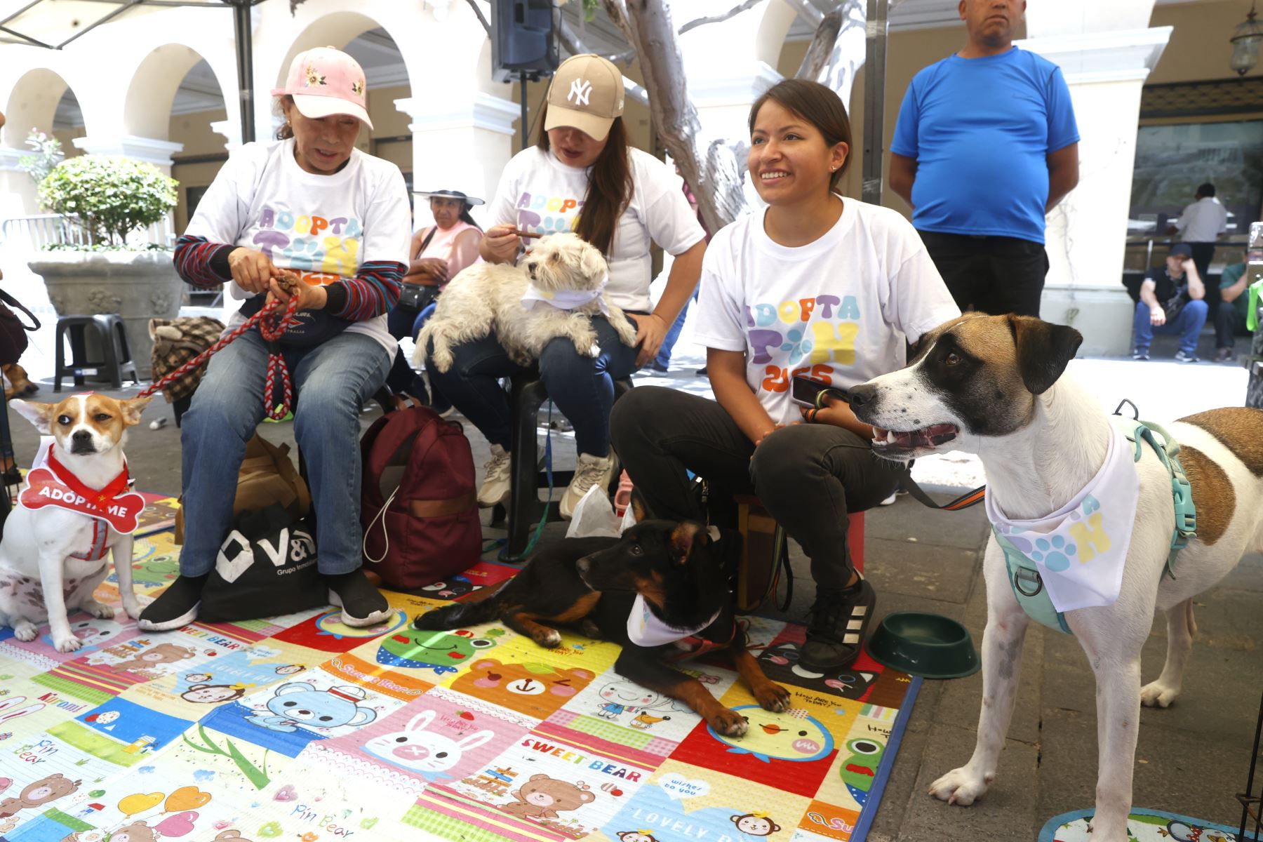 Campaña de adopción “ADOPTATON”, en pasaje Santa Rosa coorganización con la Municipalidad Metropolitana de Lima.
Foto: ANDINA/Vidal Tarqui