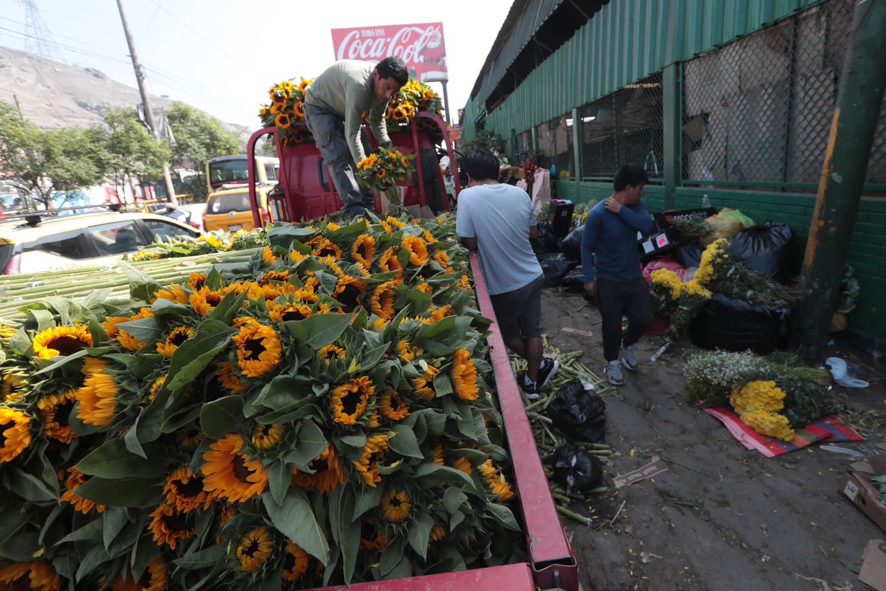 Comerciantes del Mercado de flores del Rimac ofrecen girasoles y flores amarillas , uno de los elementos más buscados para atraer prosperidad y buenos augurios al iniciar el Año Nuevo.
Foto: ANDINA/Verónica Calderón Zúñiga