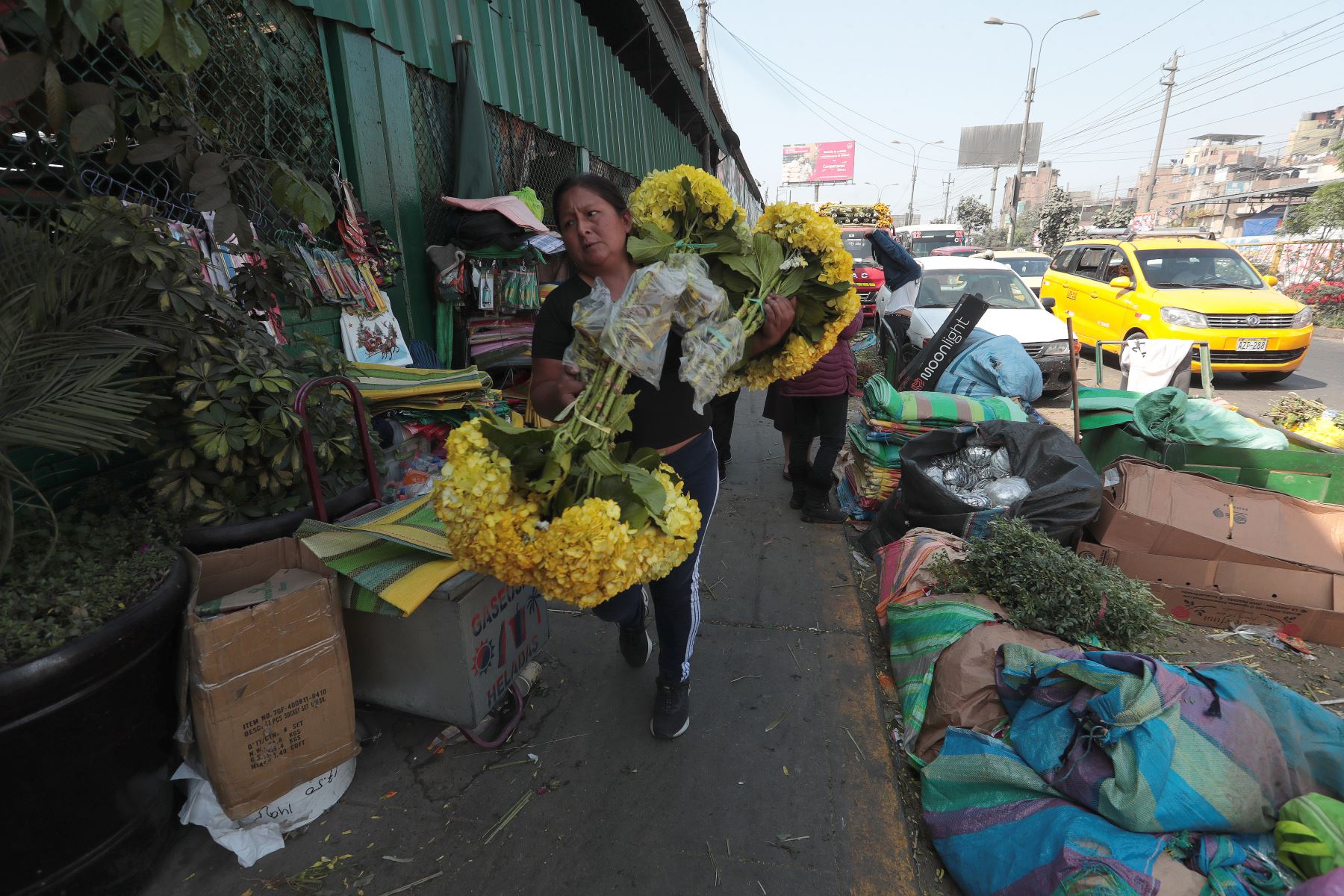 Es tradición en el Perú, cada vez más popular, la colocación de flores amarillas en el hogar, con lo cual se busca atraer el éxito y optimismo en el Año Nuevo. Foto: ANDINA/Verónica Calderón Zúñiga