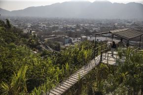La Selva Escondida es el testimonio vivo de cómo el amor por las plantas puede transformar el desierto en vida.ANDINA/Jhonel Rodríguez Robles