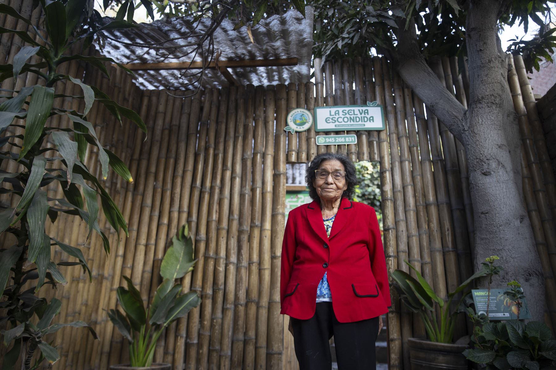Esther Rodríguez Huamán, comenzó a construir este lugar en 1984, cuando llegó de Ayacucho con su familia, escapando del terrorismo. Foto: ANDINA/Jhonel Rodríguez Robles