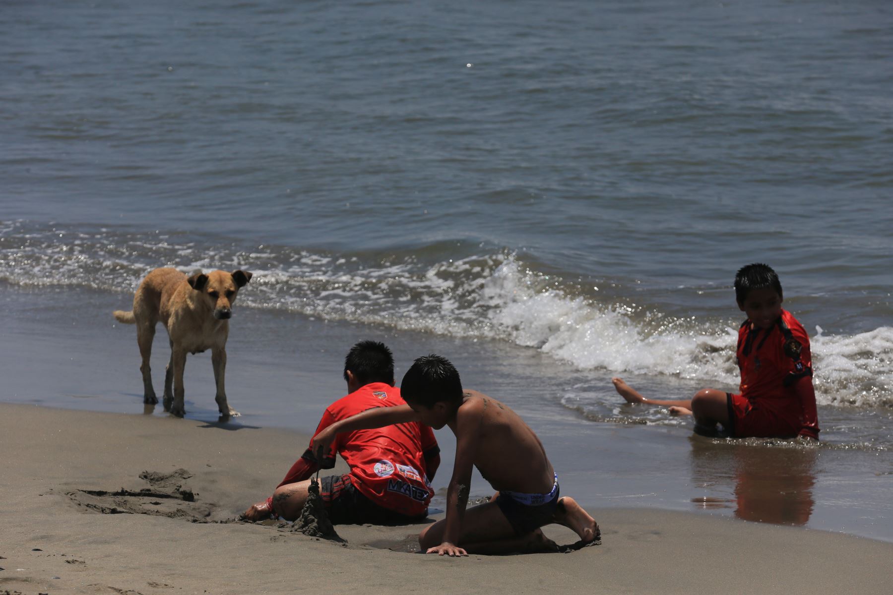 En la región costera predominarán las condiciones de brillo solar, especialmente en ciudades del sur y centro-sur del país.
FOTO:ANDINA/Héctor Vinces.