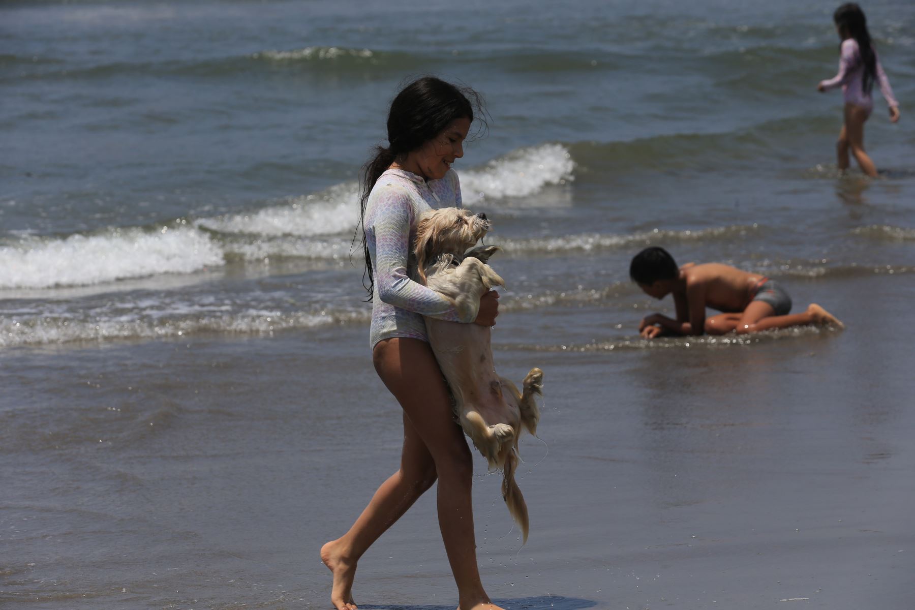 Del 1 al 4 de enero, Lima Metropolitana registrará temperaturas templadas durante la noche y primeras horas de la mañana, variando a brillo solar durante el día, en el marco del feriado largo de inicio de año, informó el Servicio Nacional de Meteorología e Hidrología del Perú (Senamhi).
FOTO:ANDINA/Héctor Vinces.