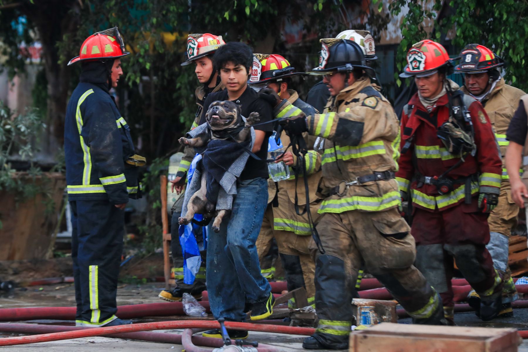 El incendio se registra en un almacén de fuegos artificiales y pone en riesgo a vecinos de Santa Anita y Ate. Una enorme columna de humo negro alarmó a los vecinos tras fuertes explosiones cerca de las avenidas Huarochirí y Nicolás Ayllón. 
Foto: ANDINA/Ricardo Cuba