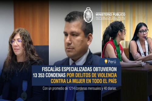 Fiscalías especializadas lograron más de 13,000 condenas por delitos de violencia contra la mujer en todo el país. Foto: ANDINA/Difusión