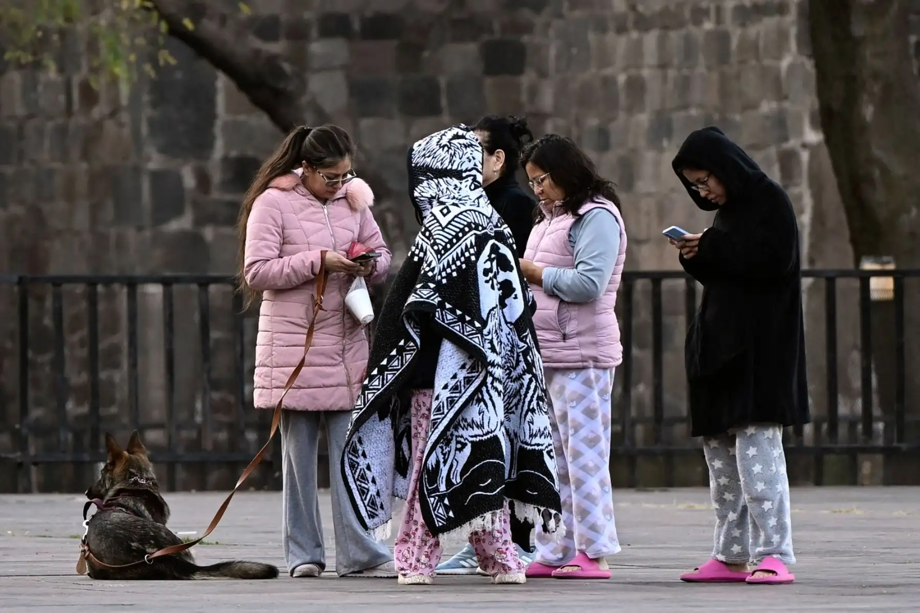 Un fuerte sismo de magnitud 6,5 sacudió este viernes Ciudad de México, reportó el Servicio Sismológico Nacional. Foto: AFP