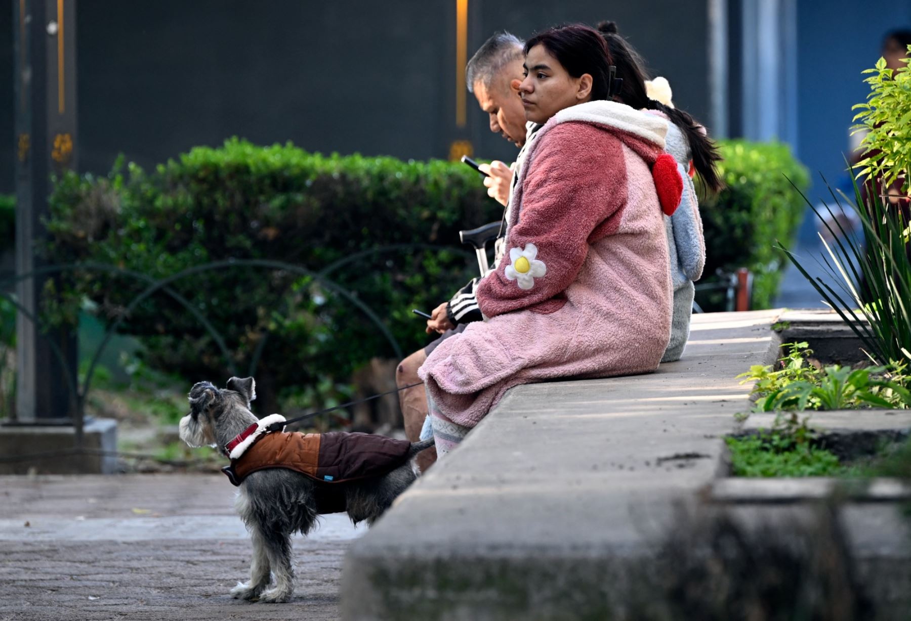 Un fuerte sismo de magnitud 6,5 sacudió este viernes Ciudad de México, reportó el Servicio Sismológico Nacional. Foto: AFP