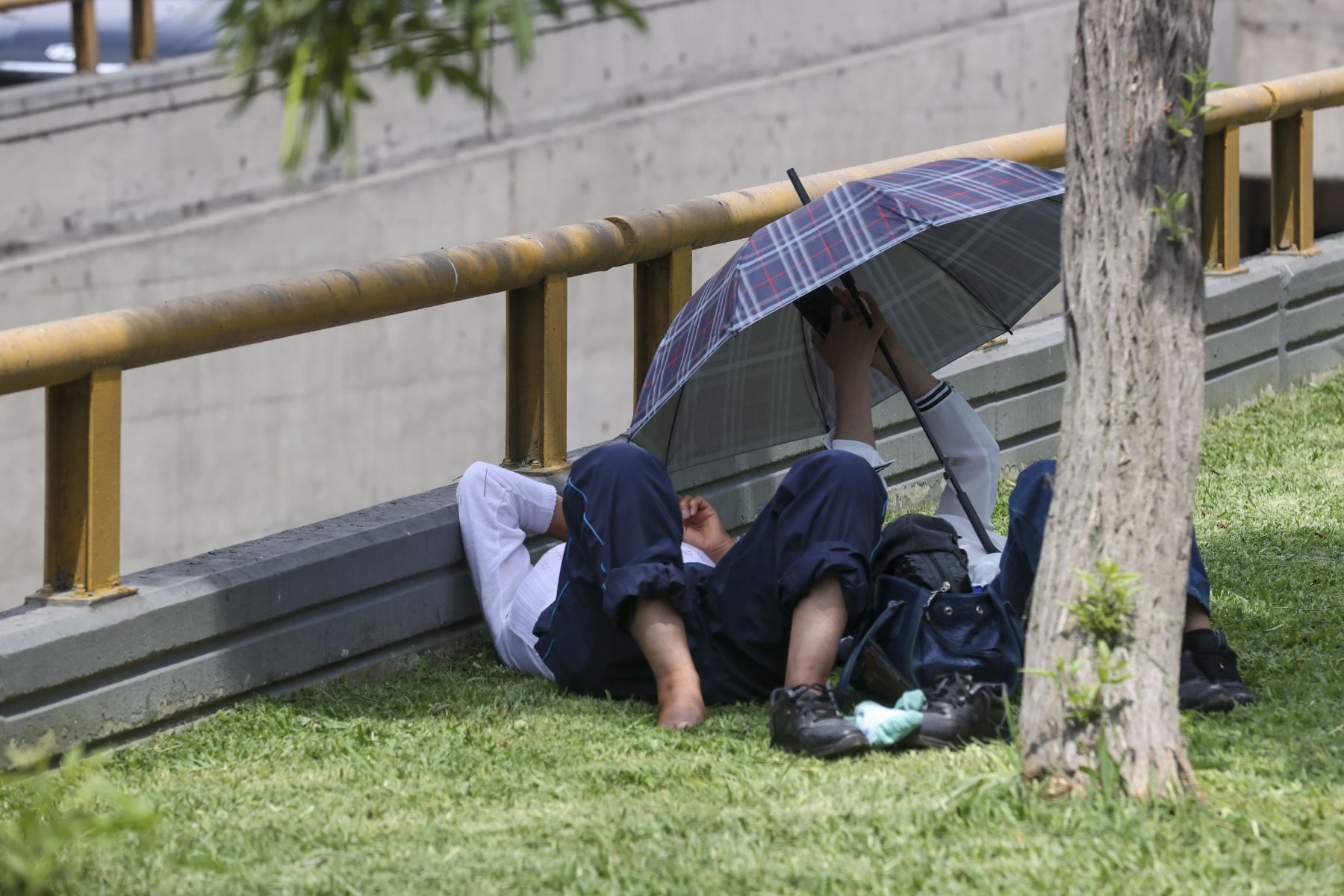 Las personas recurren al uso de sombrillas para protegerse de la radiación solar mientras transitan o realizan actividades al aire libre en la capital, una práctica que se intensifica durante los días de mayor brillo solar propios de la temporada de verano.
Foto: ANDINA/Juan Carlos Guzmán Negrini