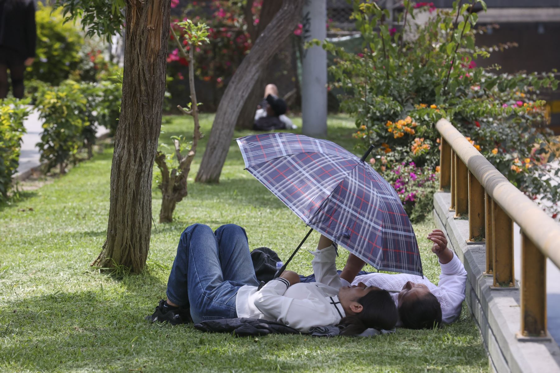 El Servicio Nacional de Meteorología e Hidrología del Perú informó que se prevén altas temperaturas diurnas en Lima Metropolitana y en la costa sur del país durante los días de descanso. Foto: ANDINA/Juan Carlos Guzmán Negrini
