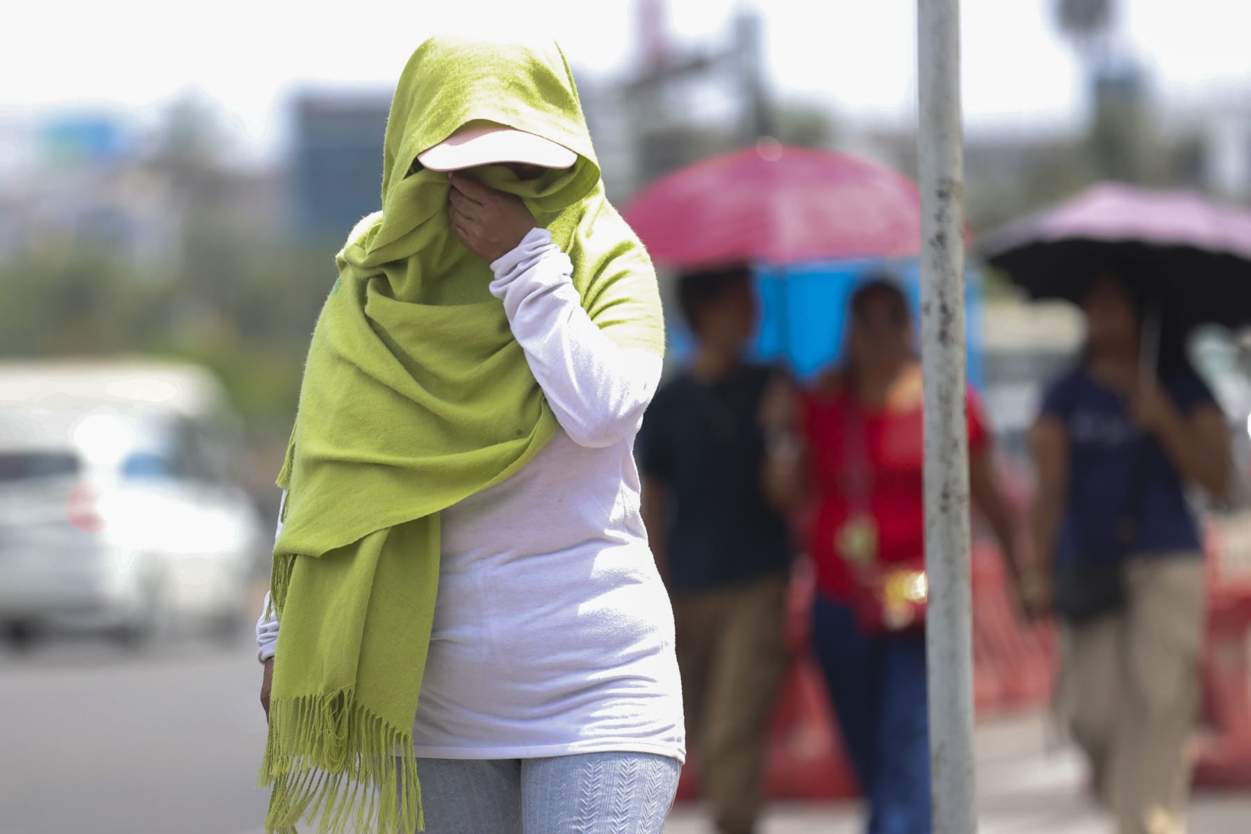 En Lima Metropolitana, las temperaturas máximas bordearán los 25 °C, mientras que las mínimas descenderán hasta los 16 °C, principalmente en los distritos alejados del litoral, con mañanas frescas propias de la temporada.
Foto: ANDINA/Juan Carlos Guzmán Negrini