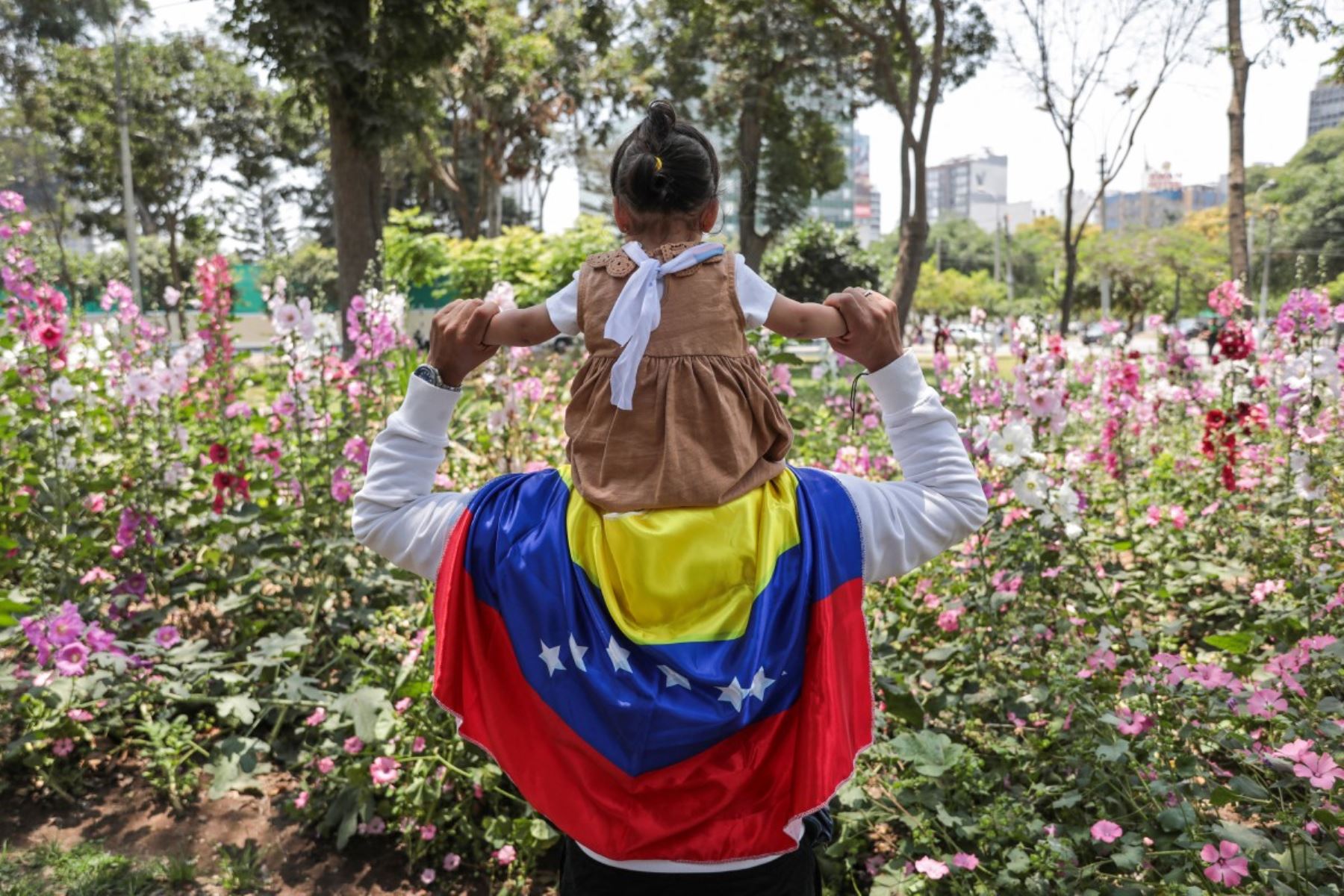 Un venezolano residente en Perú sostiene a su hija sobre los hombros en el parque Miguel de Cervantes, cerca de la embajada de Venezuela en Lima. La escena simboliza la esperanza de una nueva generación y el anhelo de retorno tras la captura de Nicolás Maduro por fuerzas estadounidenses. Foto: AFP