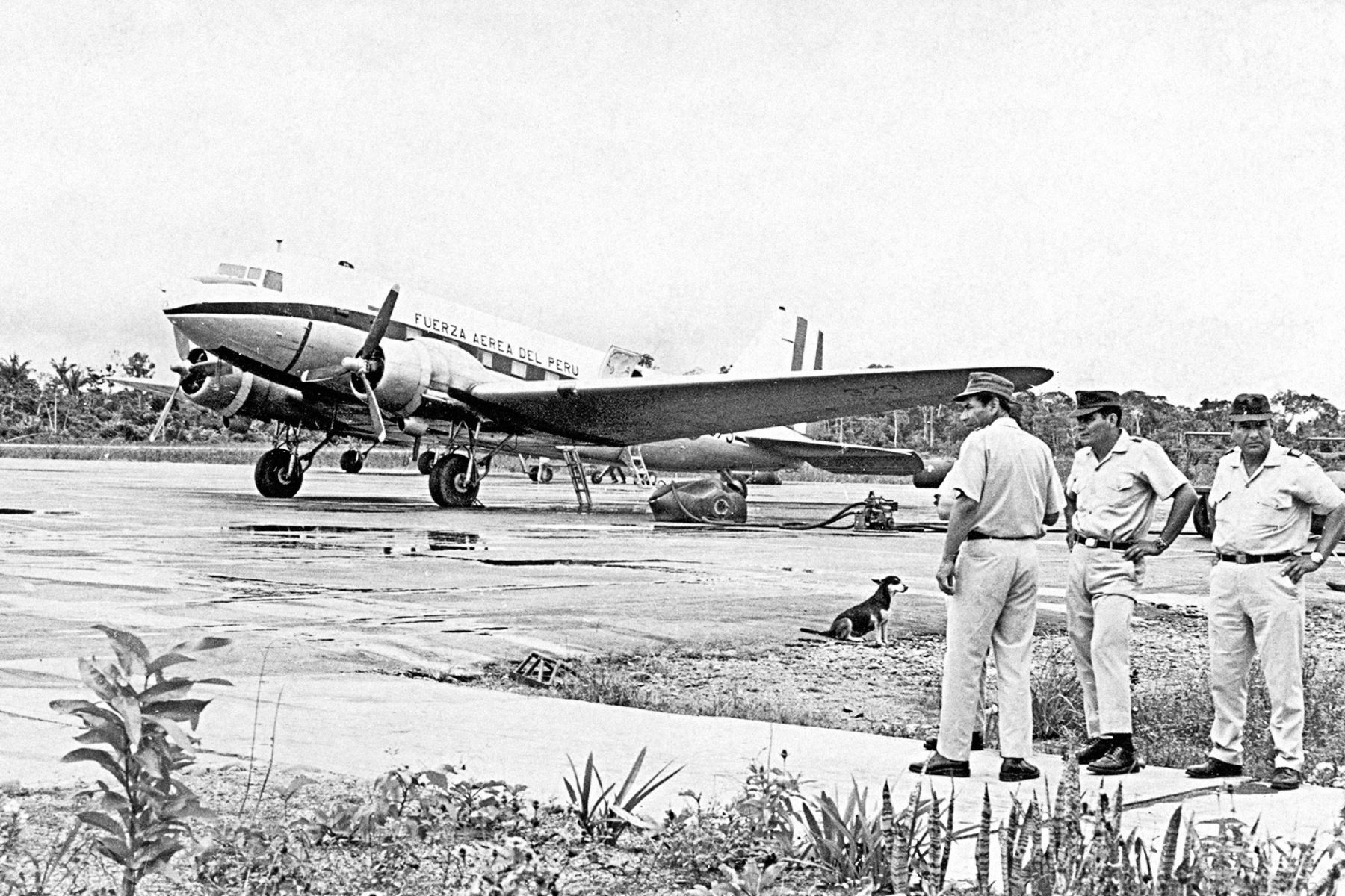 Hace 53 años, Juliane Koepcke fue noticia. Vivió una de las tragedias aéreas más recordadas del mundo: el avión en que viajaba, junto a su madre, explotó a más de 3,000 metros de altura en la selva peruana, en medio de una fuerte tormenta.
Foto:ANDINA/ Difusión
