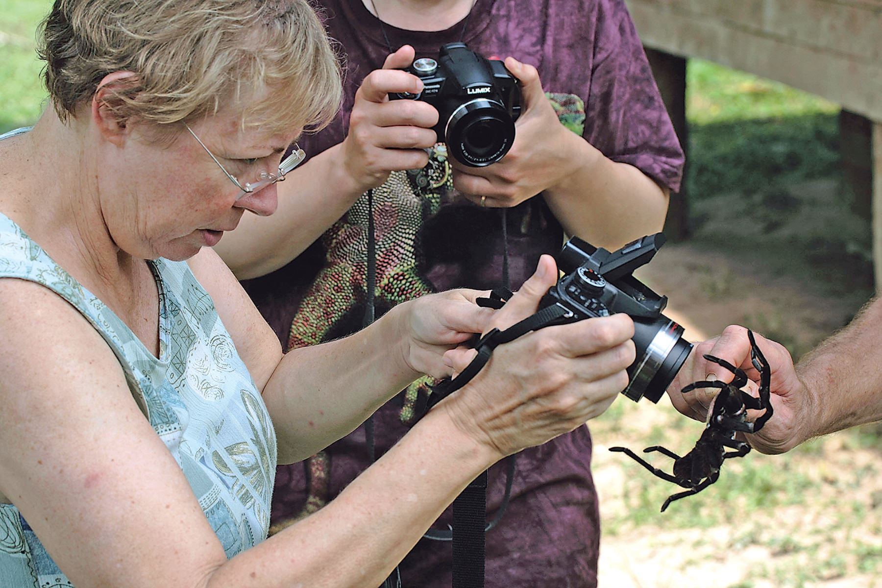 Hace 53 años, Juliane Koepcke fue noticia. Vivió una de las tragedias aéreas más recordadas del mundo: el avión en que viajaba, junto a su madre, explotó a más de 3,000 metros de altura en la selva peruana, en medio de una fuerte tormenta.
Foto:ANDINA/ Difusión