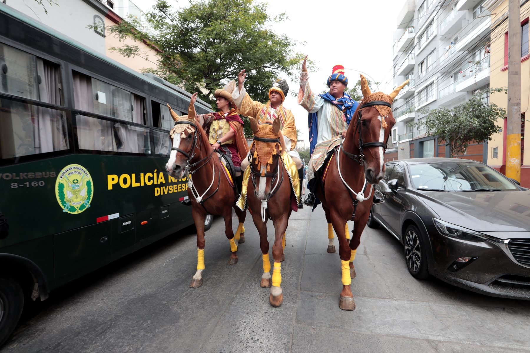 Los Caballos del Potao en la Bajada de Reyes se visten de forma ceremonial y colorida, acorde a los Reyes Magos, usando encillado con lazos y monturas especiales, portando adornos navideños.
Foto: ANDINA/ Verónica Calderón Zúñiga