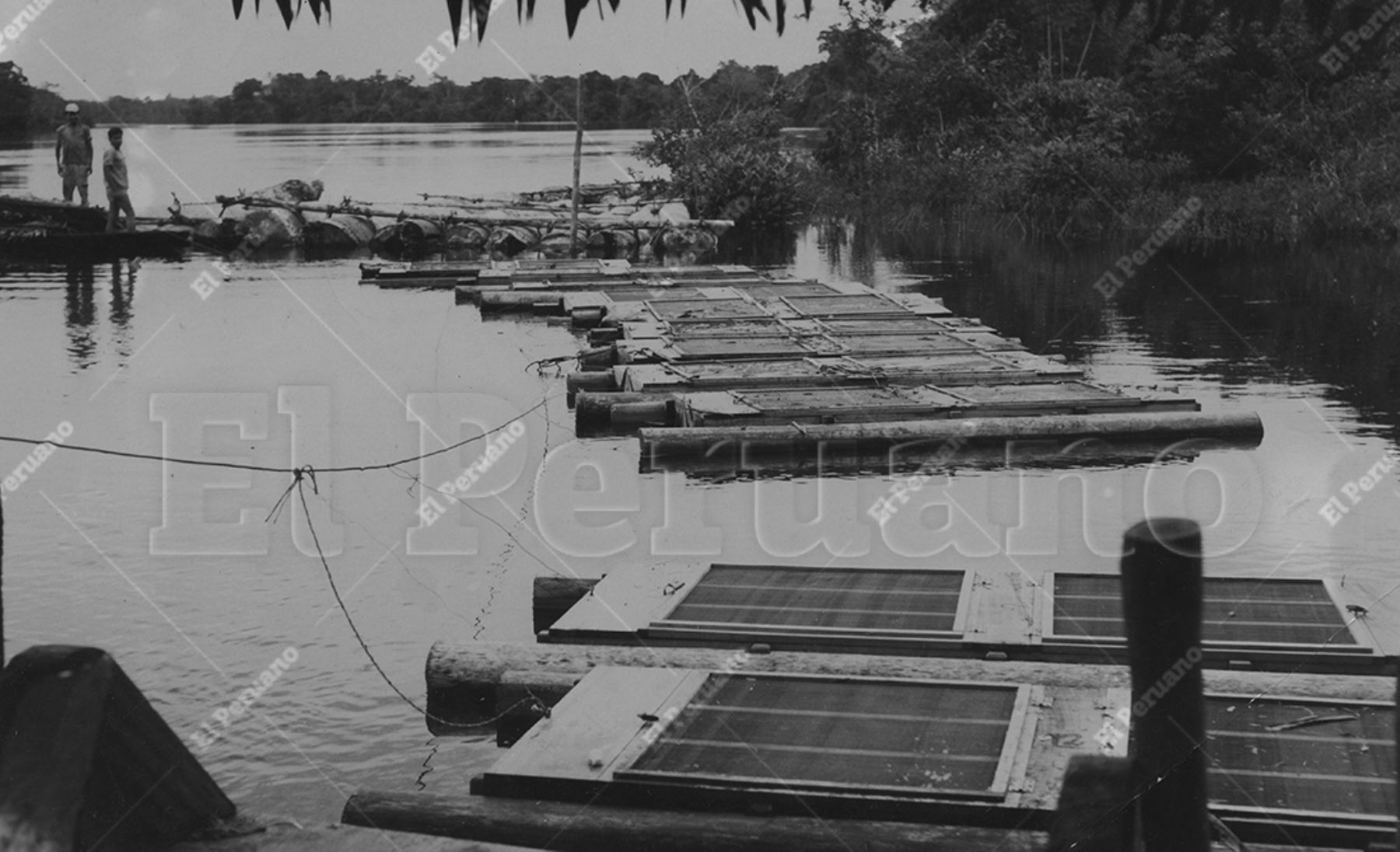 Desde el amanecer, la actividad portuaria refleja el pulso de la ciudad amazónica: embarcaciones, carga diversa y pasajeros que conectan zonas rurales con el casco urbano. Esta dinámica reafirma el rol del puerto como articulador social y económico en una región donde el acceso terrestre es limitado. Foto: Archivo Histórico de El Peruano