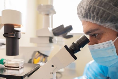 Maestrías y doctorados disponibles en San Marcos.