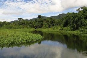 Con el inicio del programa REDD+ Indígena Jurisdiccional, se beneficiará a más de 900 comunidades indígenas y cinco reservas comunales. Foto: Minam