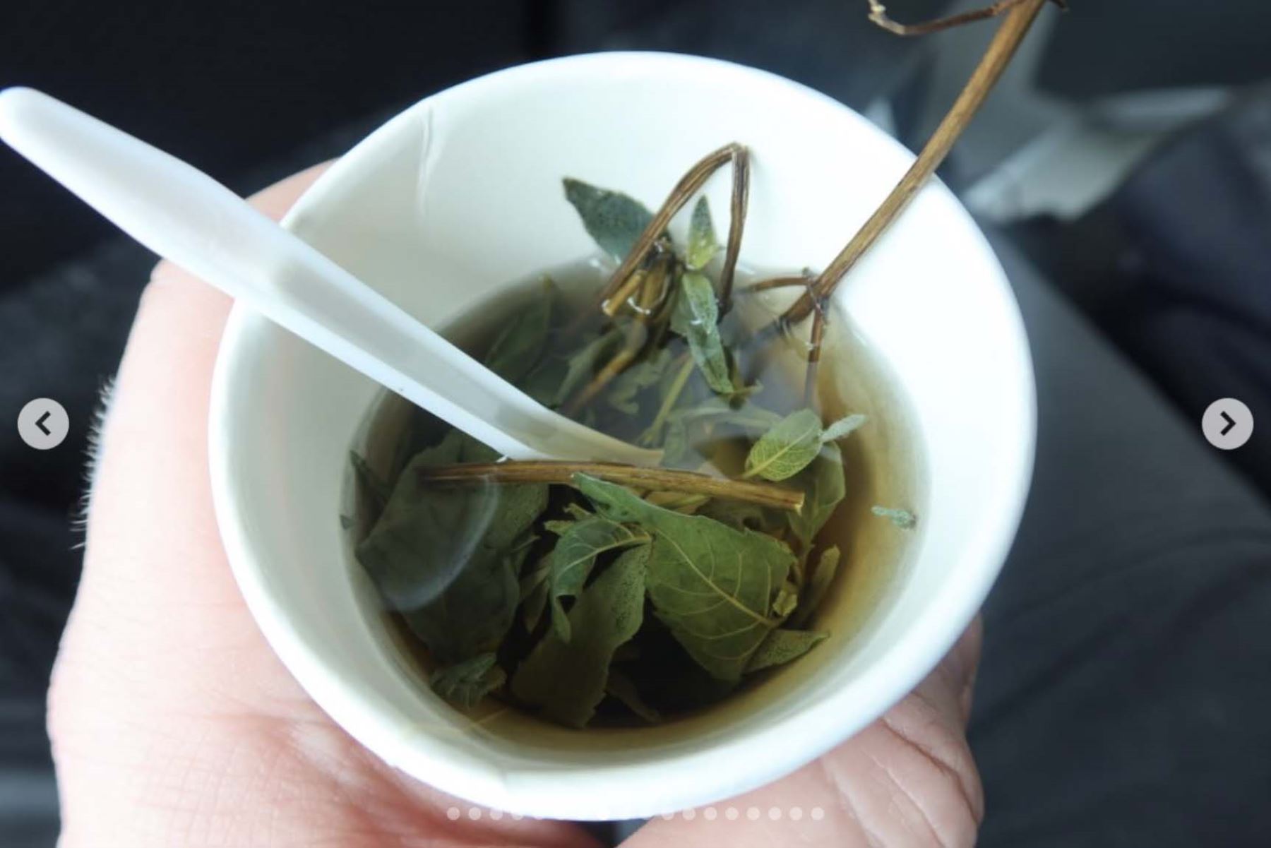 Una taza de té de muña, infusión tradicional de los Andes peruanos, aparece entre los momentos cotidianos del viaje. “Beber innumerables tazas de té de muña”, escribió Sam Smith, al destacar los gestos simples que le permitieron conectar con las costumbres locales y con la hospitalidad recibida durante su recorrido por el país. Fotos: ANDINA/Sam Smith