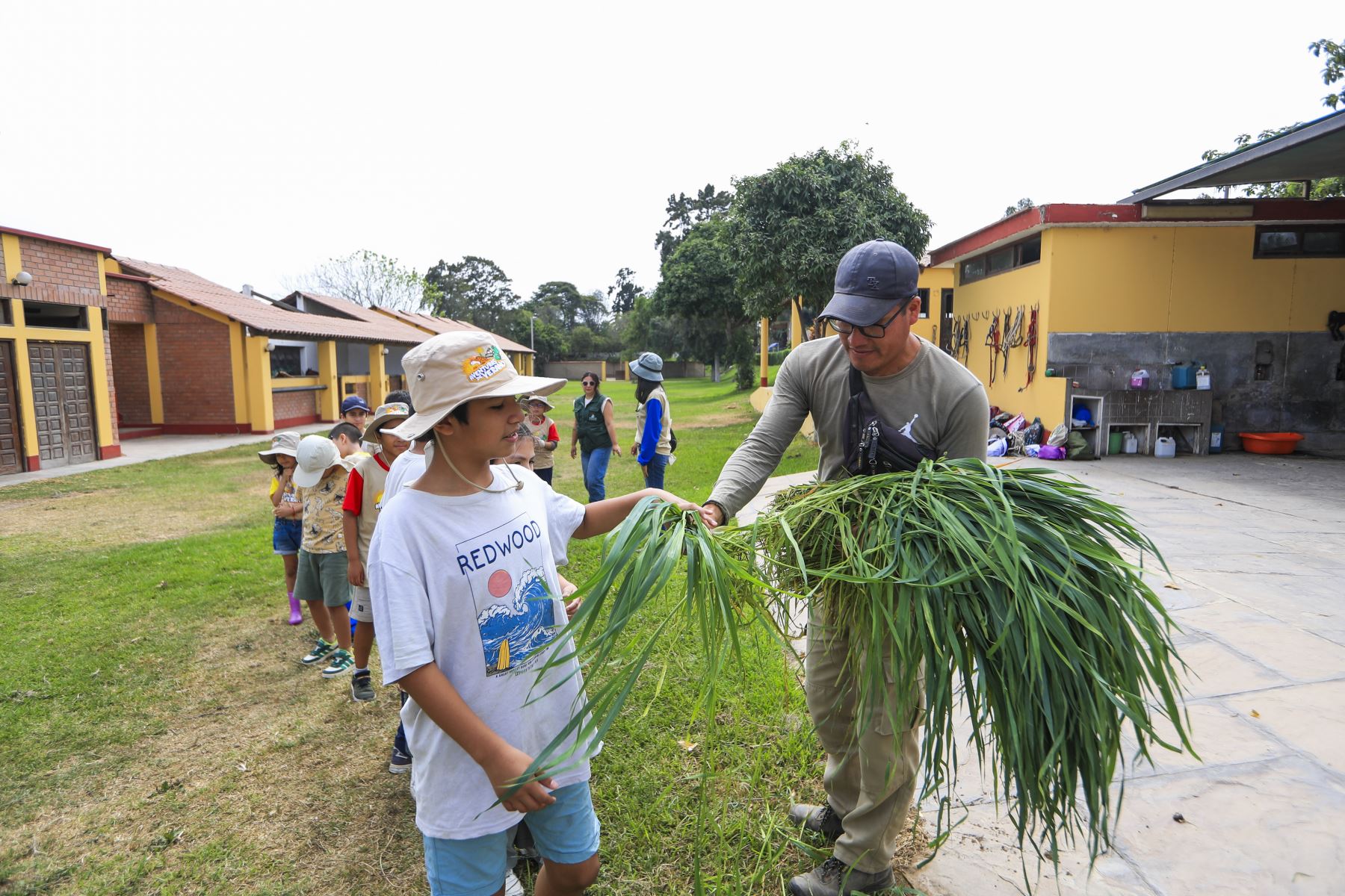 El programa está dividido en tres grupos: Zoo Kids (5 a 6 años), Exploradores (7 a 11 años), Biodiversos (12 a 15 años), para que los menores, disfruten de experiencias vivenciales en conexión con el patrimonio cultural y natural.  Foto: ANDINA/Ricardo Cuba
