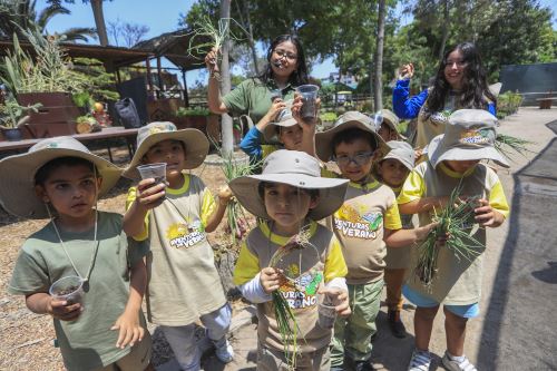 Vacaciones útiles: Vive la experiencia en el Parque de las Leyendas