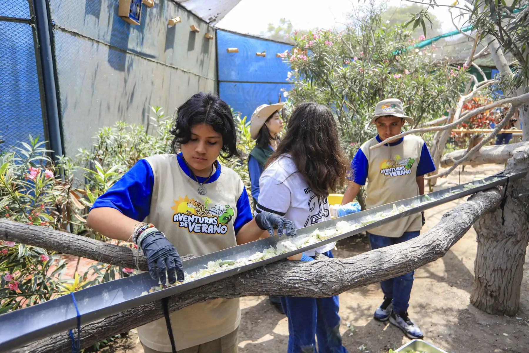 Este programa incluye 22 sesiones del 5 de enero al 20 de febrero. El primer turno es lunes, miércoles y viernes. El segundo turno: martes y jueves. Foto: ANDINA/Ricardo Cuba