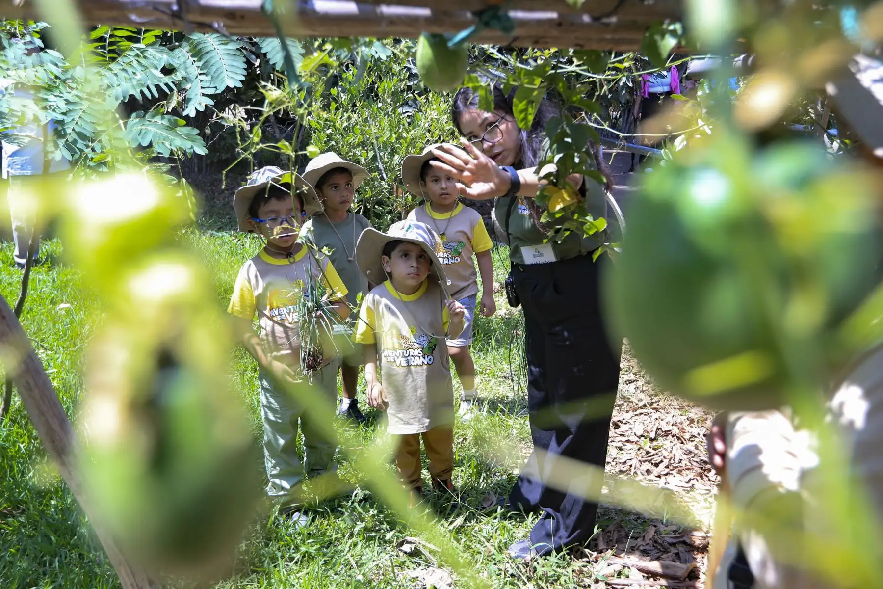 En vacaciones útiles se les ofrece talleres vivenciales, recorridos guiados, manejo y cuidado de los animales en sus ambientes, dinámicas de integración y juegos recreativos.  Foto: ANDINA/Ricardo Cuba