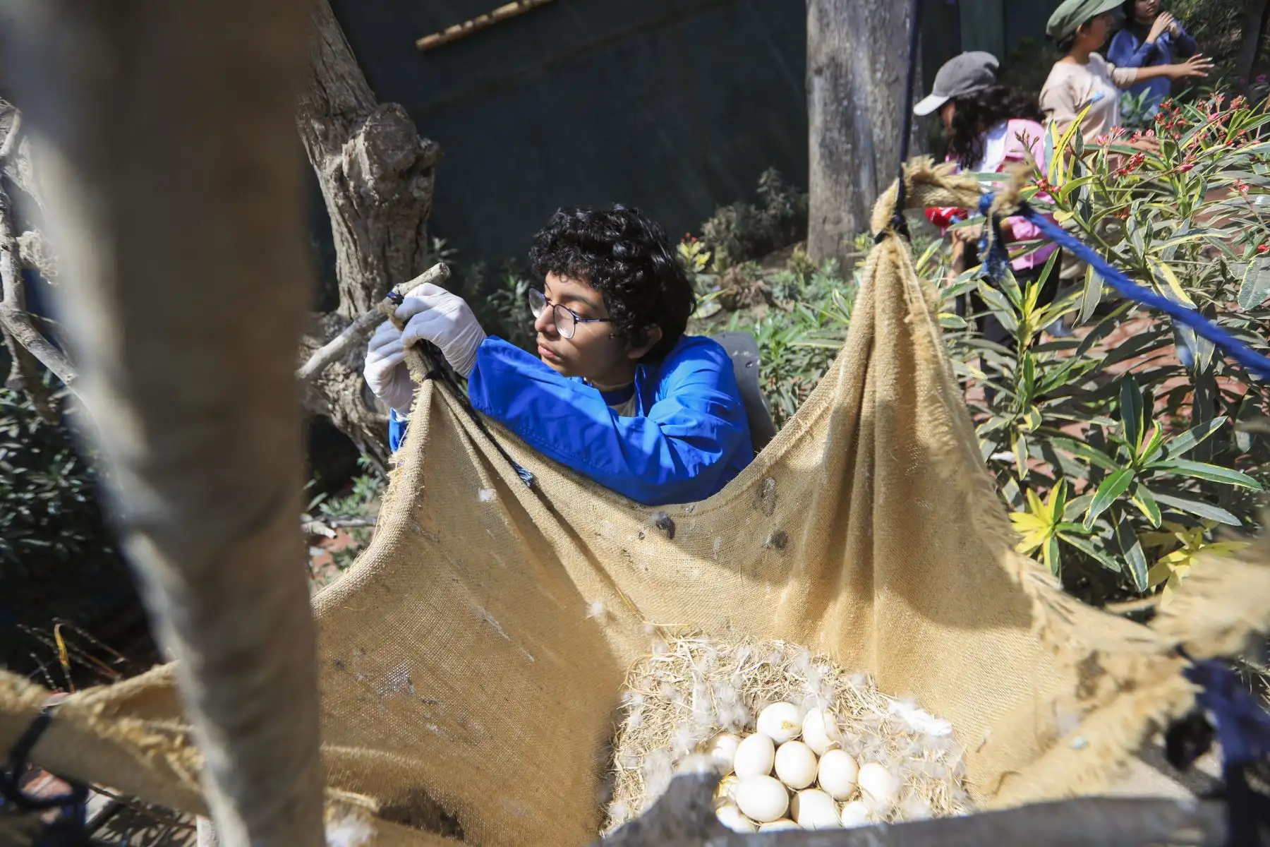 El programa está dividido en tres grupos: Zoo Kids (5 a 6 años), Exploradores (7 a 11 años), Biodiversos (12 a 15 años), para que los menores, disfruten de experiencias vivenciales en conexión con el patrimonio cultural y natural.  Foto: ANDINA/Ricardo Cuba