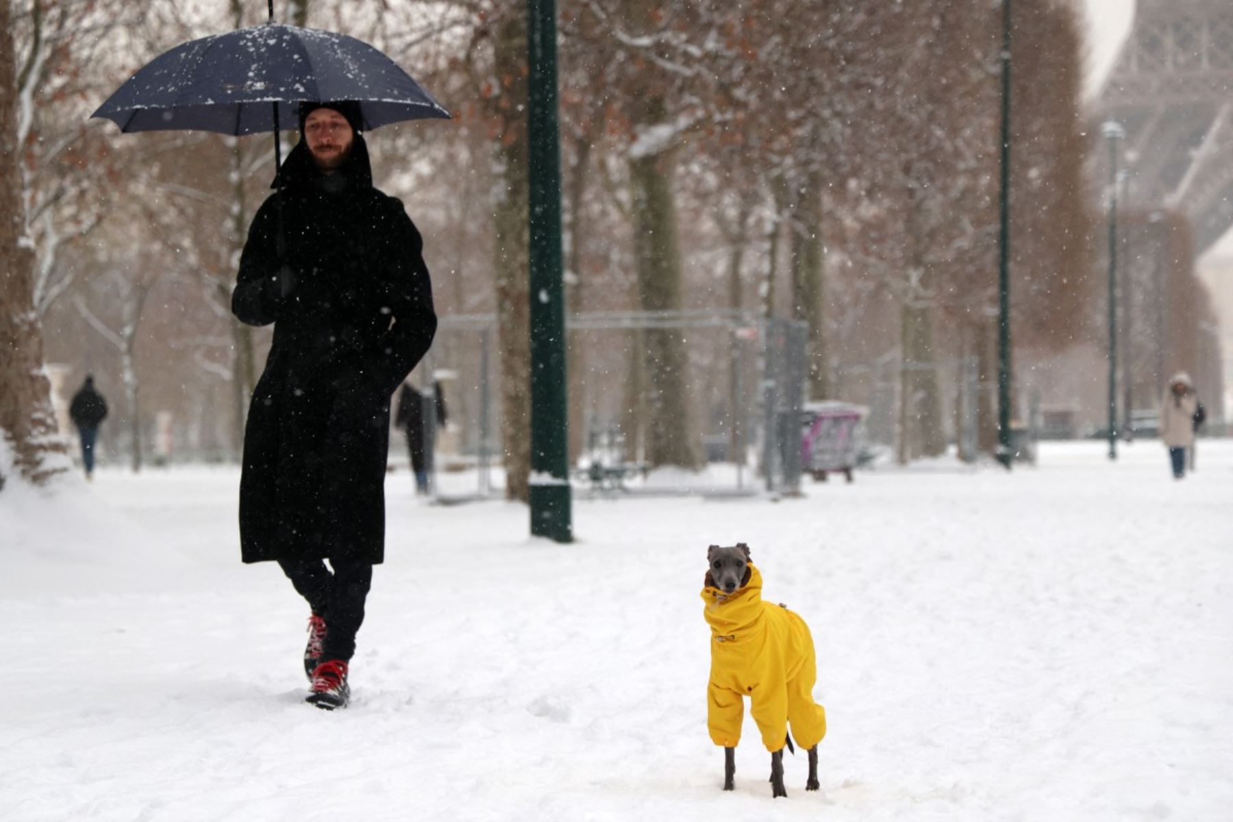 La nevada transformó París en un escenario invernal poco habitual, cubriendo calles, techos y monumentos históricos. La acumulación de hielo convirtió veredas y calzadas en superficies resbaladizas, obligando a peatones y conductores a extremar precauciones desde las primeras horas del día. Foto: AFP