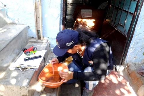 “De los 38 distritos de la región, en 36 ya se ha identificado la presencia del vector"