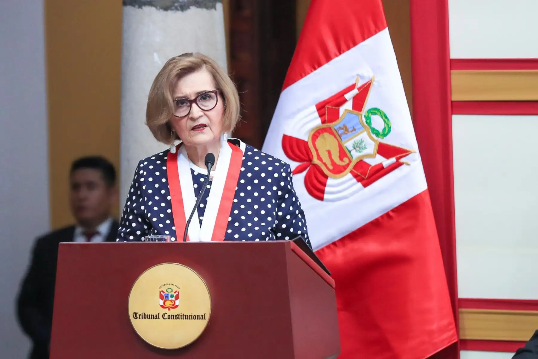TC sesionará en audiencias públicas descentralizadas en Huánuco del 20 al 22 de mayo