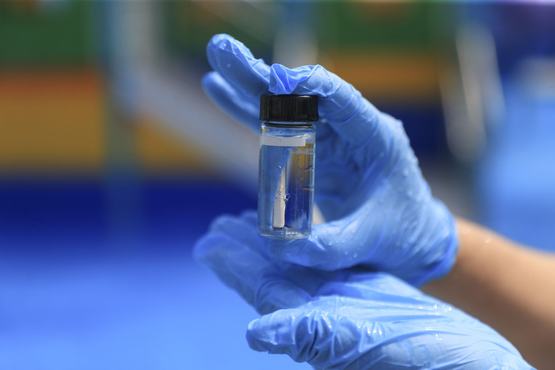 La Dirección de Redes Integradas de Salud (DIRIS) Lima Sur, a través de la Dirección de Salud Ambiental e Inocuidad Alimentaria, intensifica de manera semanal la vigilancia sanitaria en playas y piscinas durante los meses de verano. Foto: ANDINA/Jhonel Rodríguez Robles