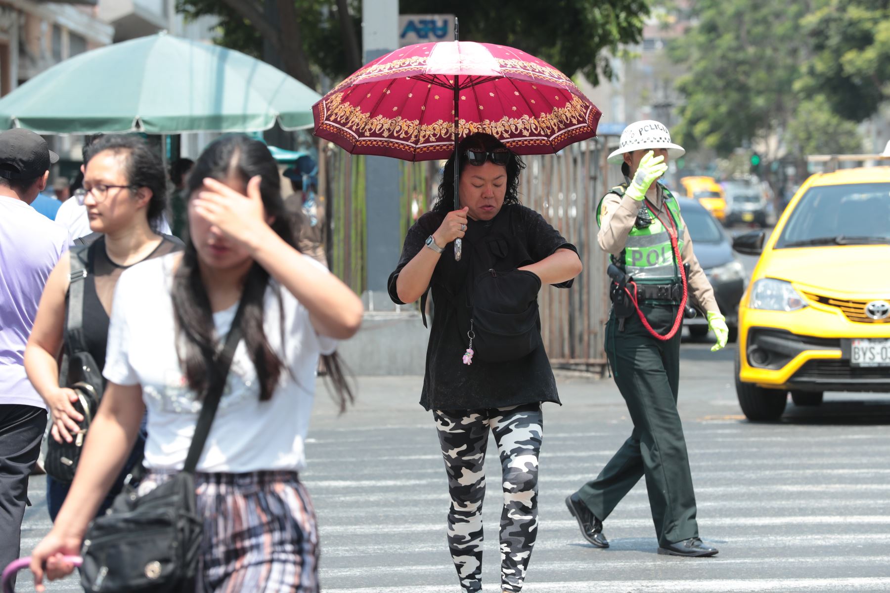 Aunque el cielo se presente nublado, la radiación UV puede mantenerse en niveles peligrosos, por lo que las medidas de protección deben aplicarse todos los días.
Foto:ANDINA/Verónica Calderón Zúñiga