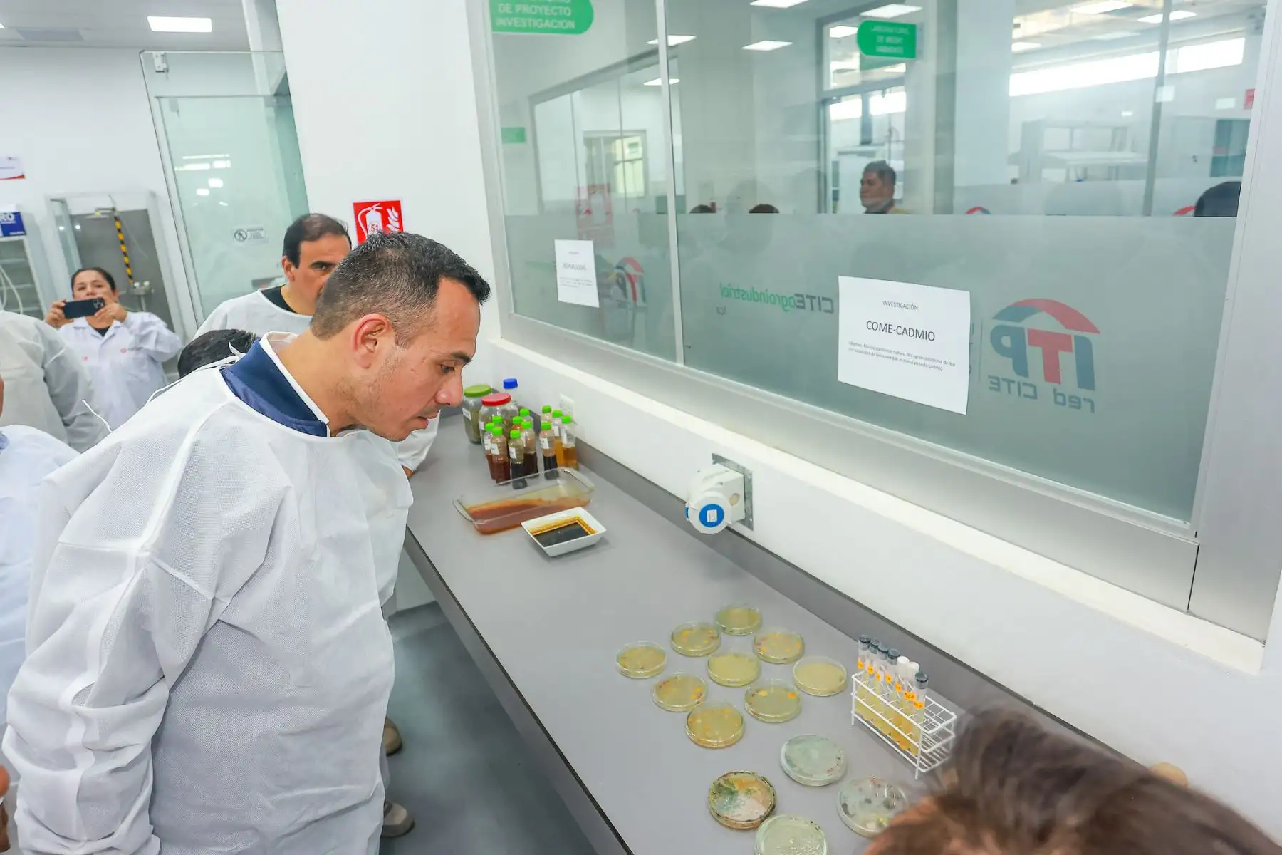 Como parte de su agenda de trabajo en la región, el mandatario realizó una inspección al CITE Agroindustrial de Ica junto al ministro de la Producción, César Quispe Luján. Durante el recorrido, cosechó racimos de uva y recibió una explicación técnica sobre su industrialización. La visita incluyó áreas agrícolas, laboratorios, zona alimentaria y la planta piloto, donde se impulsa el valor agregado de productos emblemáticos como el pisco y otros destilados. Foto: ANDINA/Prensa Presidencia