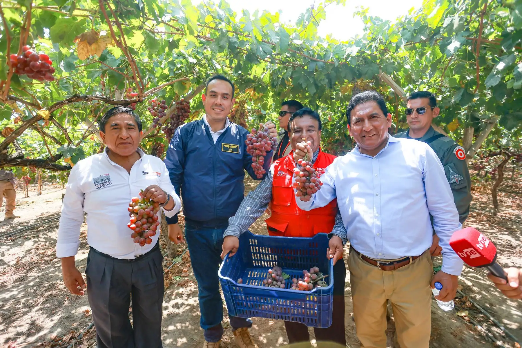 Como parte de su agenda de trabajo en la región, el mandatario realizó una inspección al CITE Agroindustrial de Ica junto al ministro de la Producción, César Quispe Luján. Durante el recorrido, cosechó racimos de uva y recibió una explicación técnica sobre su industrialización. La visita incluyó áreas agrícolas, laboratorios, zona alimentaria y la planta piloto, donde se impulsa el valor agregado de productos emblemáticos como el pisco y otros destilados. Foto: ANDINA/Prensa Presidencia