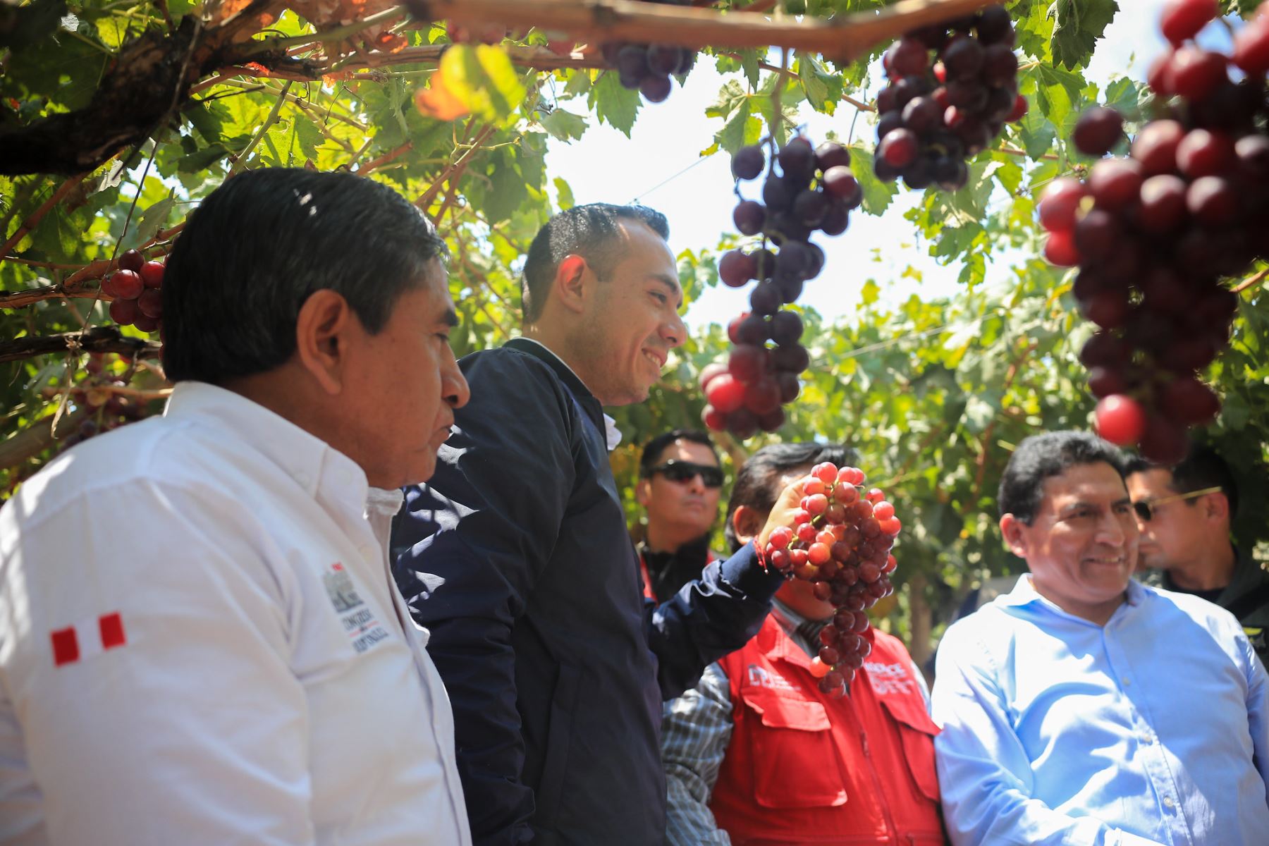 Como parte de su agenda de trabajo en la región, el mandatario realizó una inspección al CITE Agroindustrial de Ica junto al ministro de la Producción, César Quispe Luján. Durante el recorrido, cosechó racimos de uva y recibió una explicación técnica sobre su industrialización. La visita incluyó áreas agrícolas, laboratorios, zona alimentaria y la planta piloto, donde se impulsa el valor agregado de productos emblemáticos como el pisco y otros destilados. Foto: ANDINA/Prensa Presidencia
